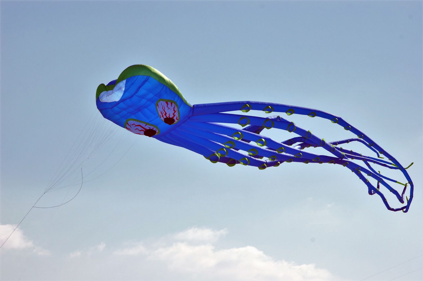 Nikon D70s sample photo. Kite, beach, berck-plage photography