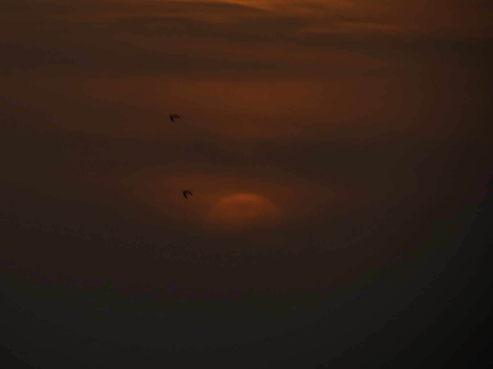 Canon PowerShot SX40 HS sample photo. Birds, clouds, sunrise photography