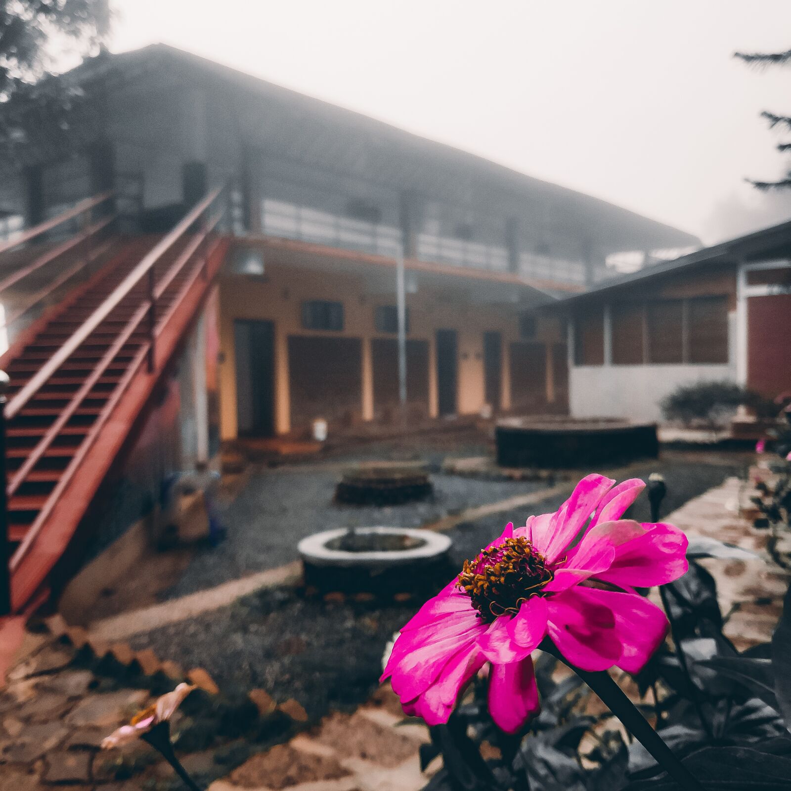 Xiaomi POCO F1 sample photo. Paithalhills, resort, paithalmala photography
