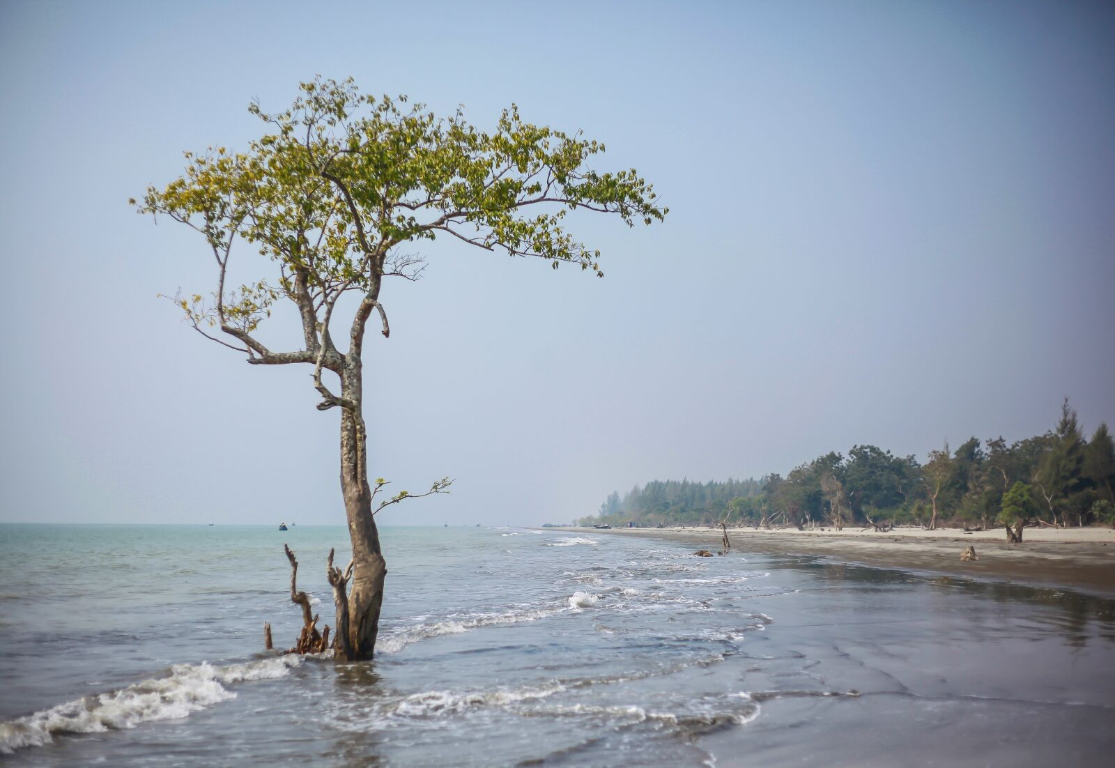 Canon EOS 5D Mark II sample photo. Water, nature, tree photography