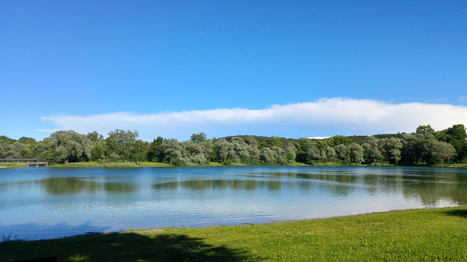 LG G4 sample photo. Lake, forest, water photography