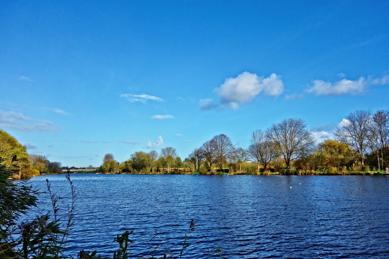 Sony Cyber-shot DSC-RX100 sample photo. River, water, waterway photography