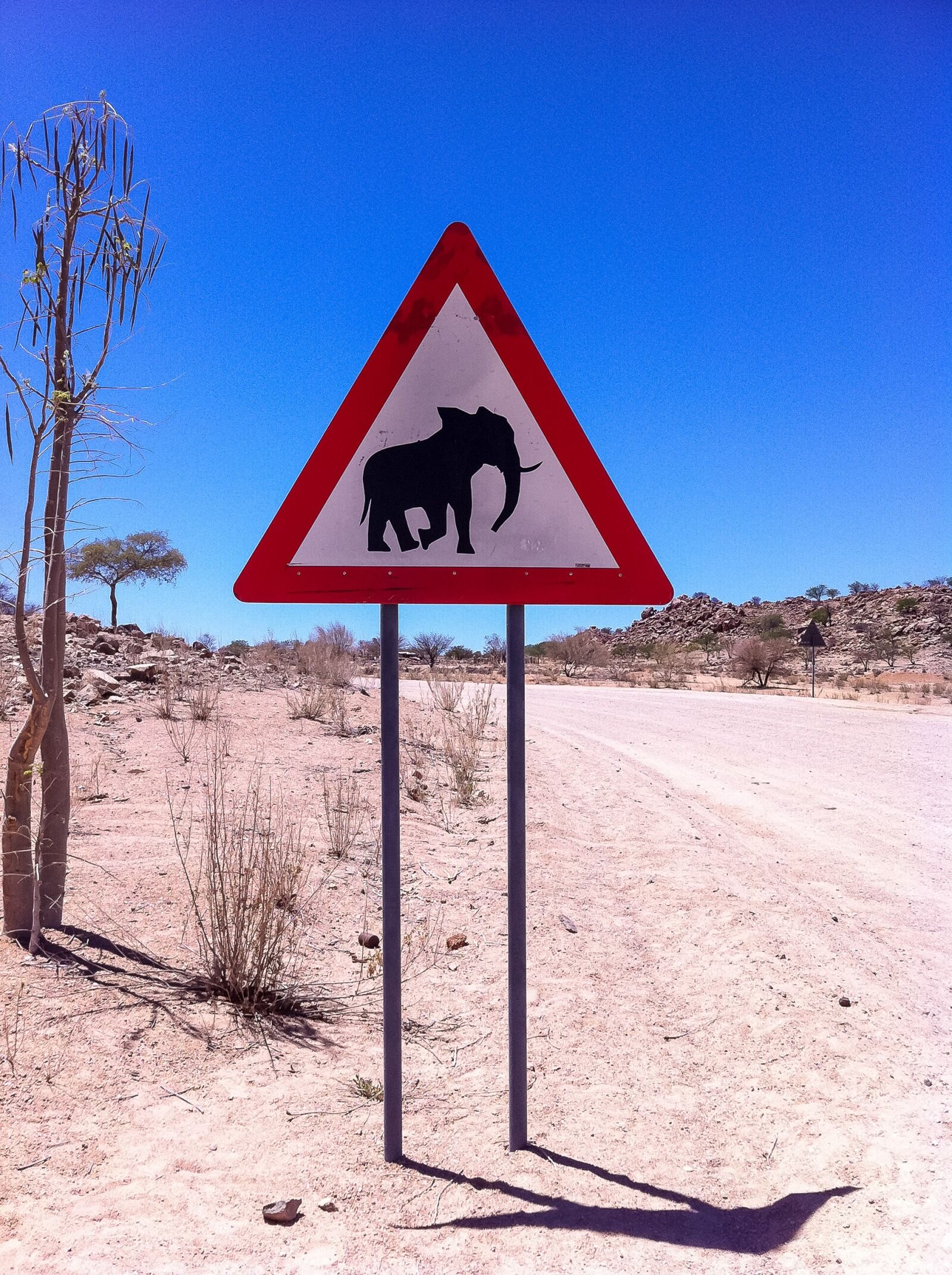 Apple iPhone 4 sample photo. Elephant, sign, road photography