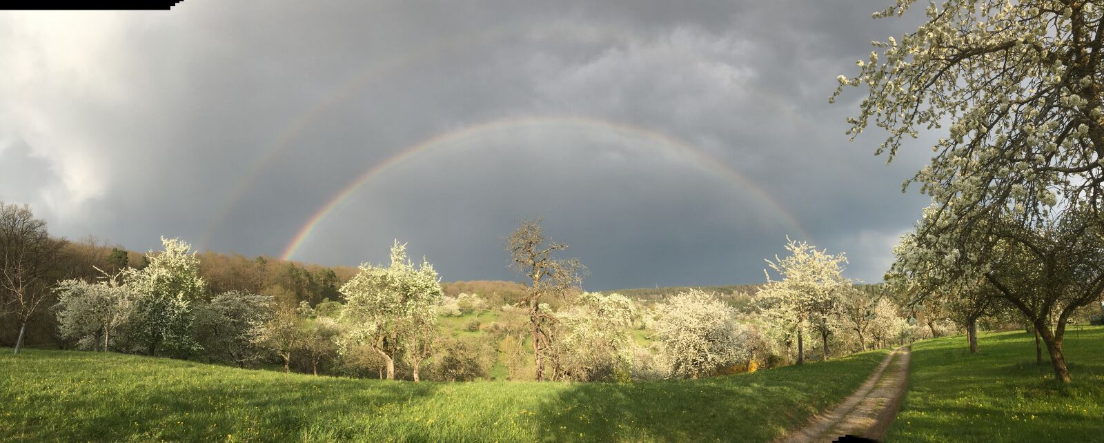 iPhone SE back camera 4.15mm f/2.2 sample photo. Rainbow, spring, landscape photography