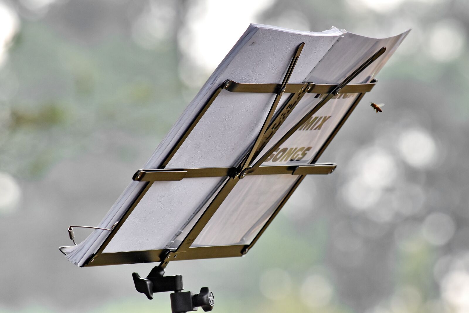 Nikon D5500 sample photo. Book, holder, honeybee, insect photography