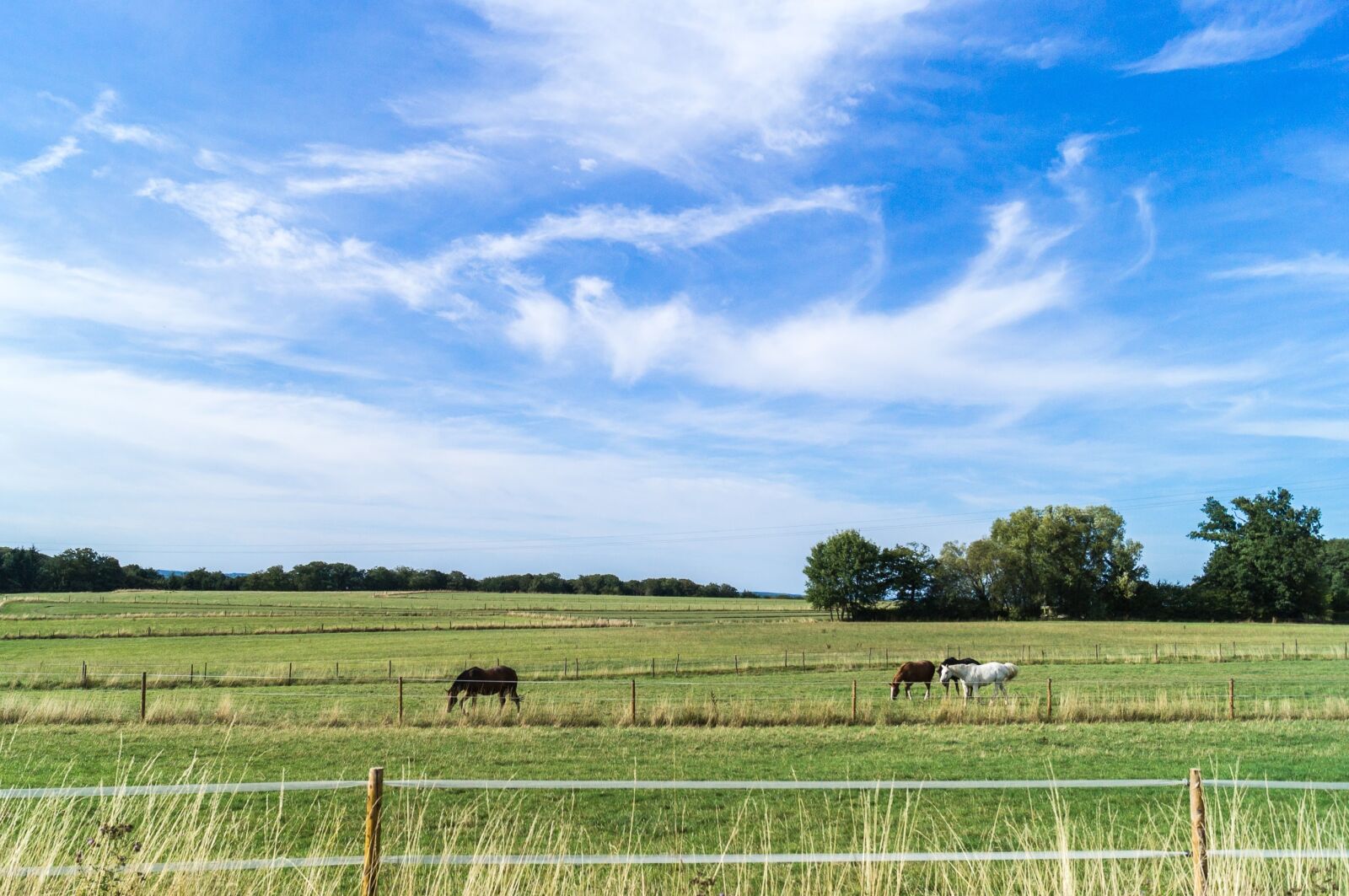 Sony SLT-A37 sample photo. Sky, clouds, wind photography