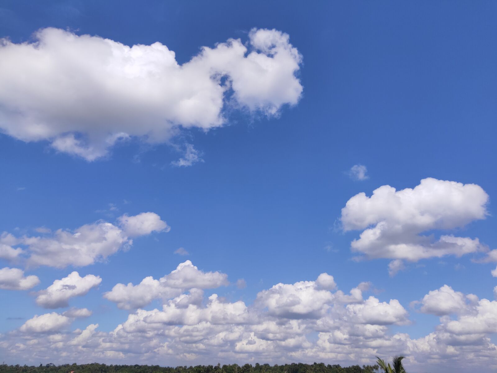 Realme 3 PRO sample photo. Clouds, sky, nature photography