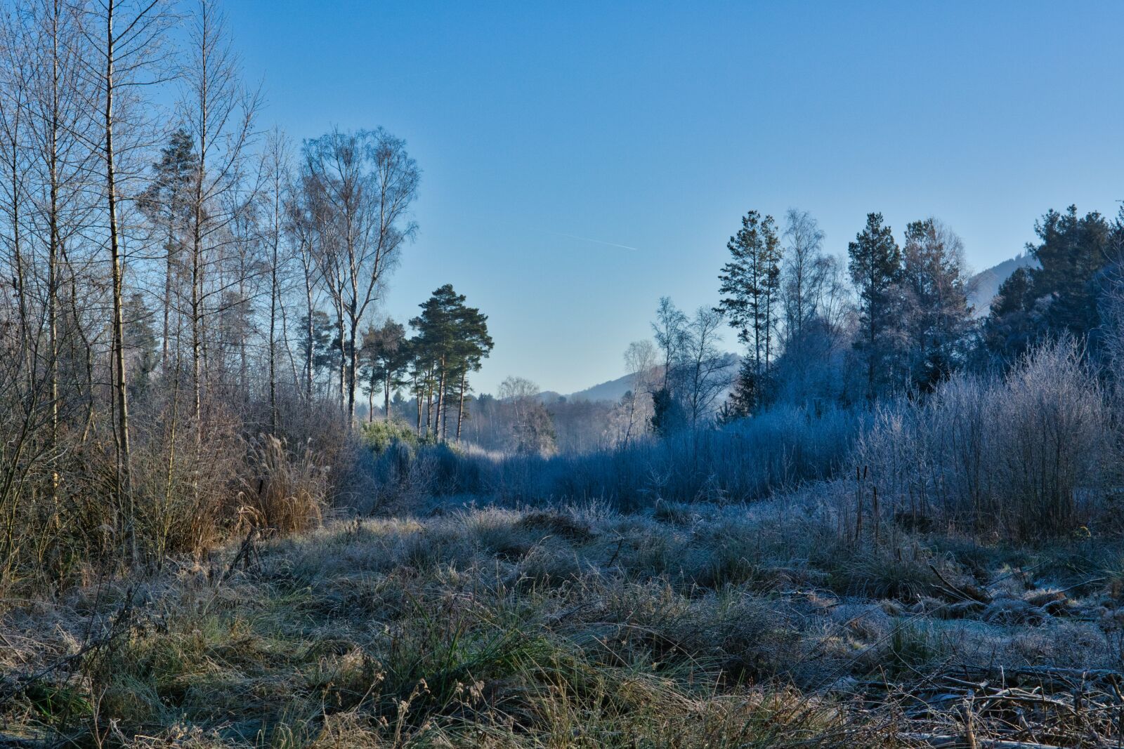 Nikon D7100 sample photo. Winter, frost, icy photography