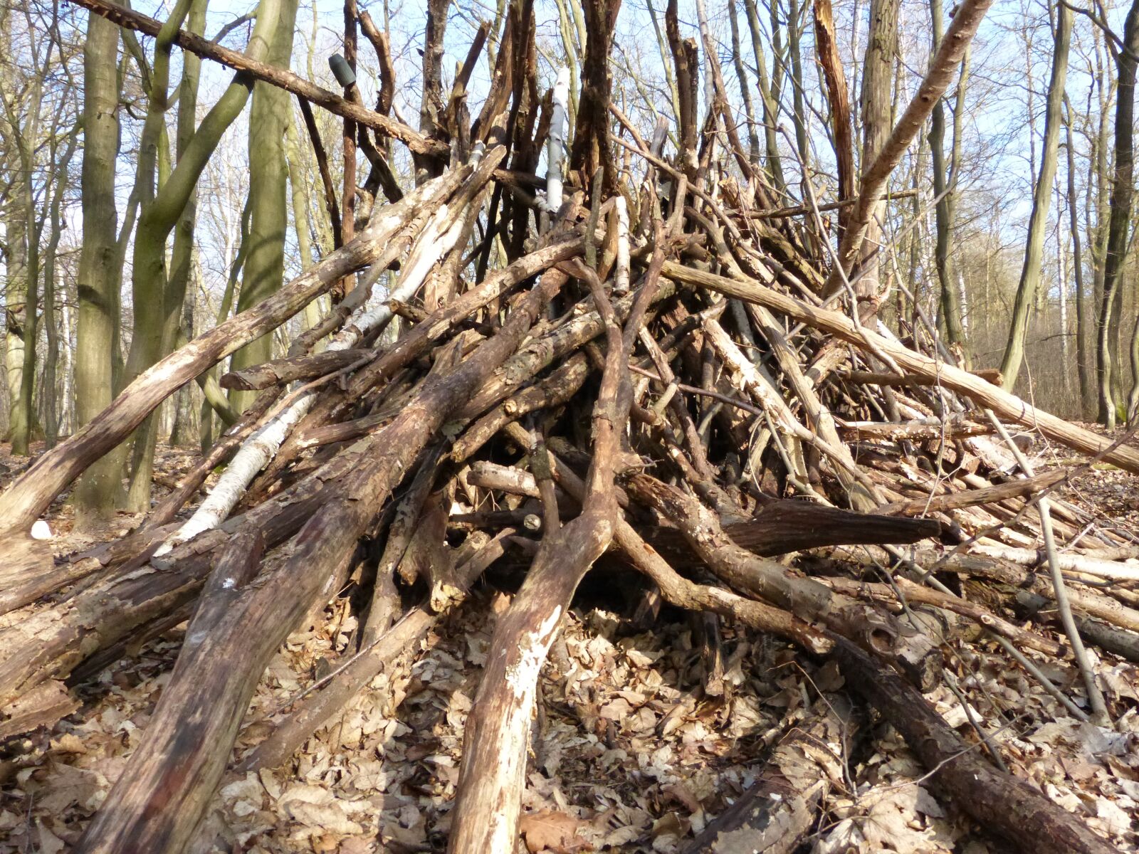 Panasonic DMC-FZ62 sample photo. Aesthetic, tent, pile photography