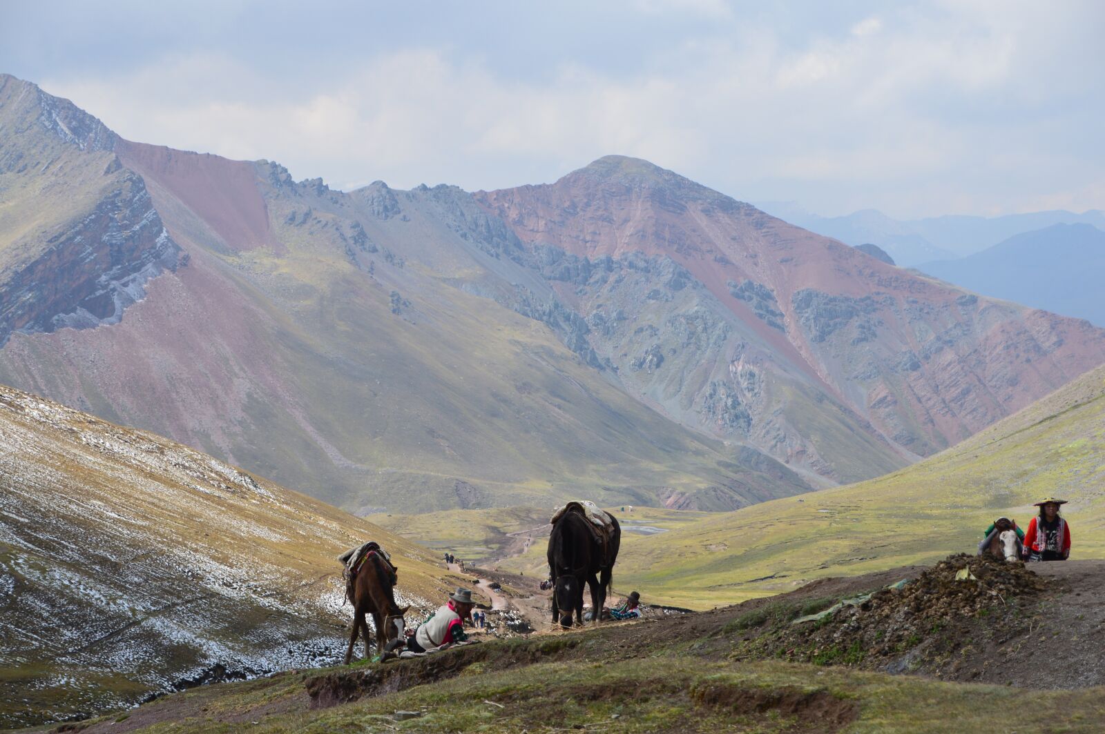 Nikon D3200 sample photo. Landscape, horses, mountains photography