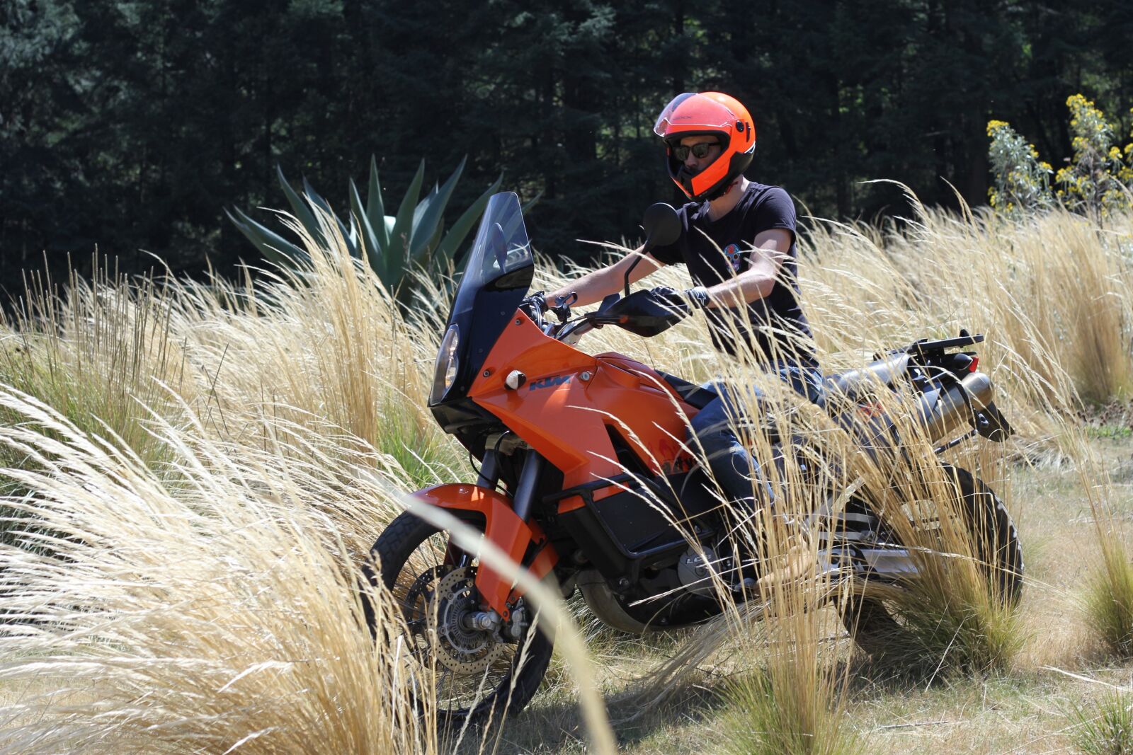 Canon EOS 60D + Canon EF 50mm F1.8 II sample photo. Motorcycle, nature, travel photography