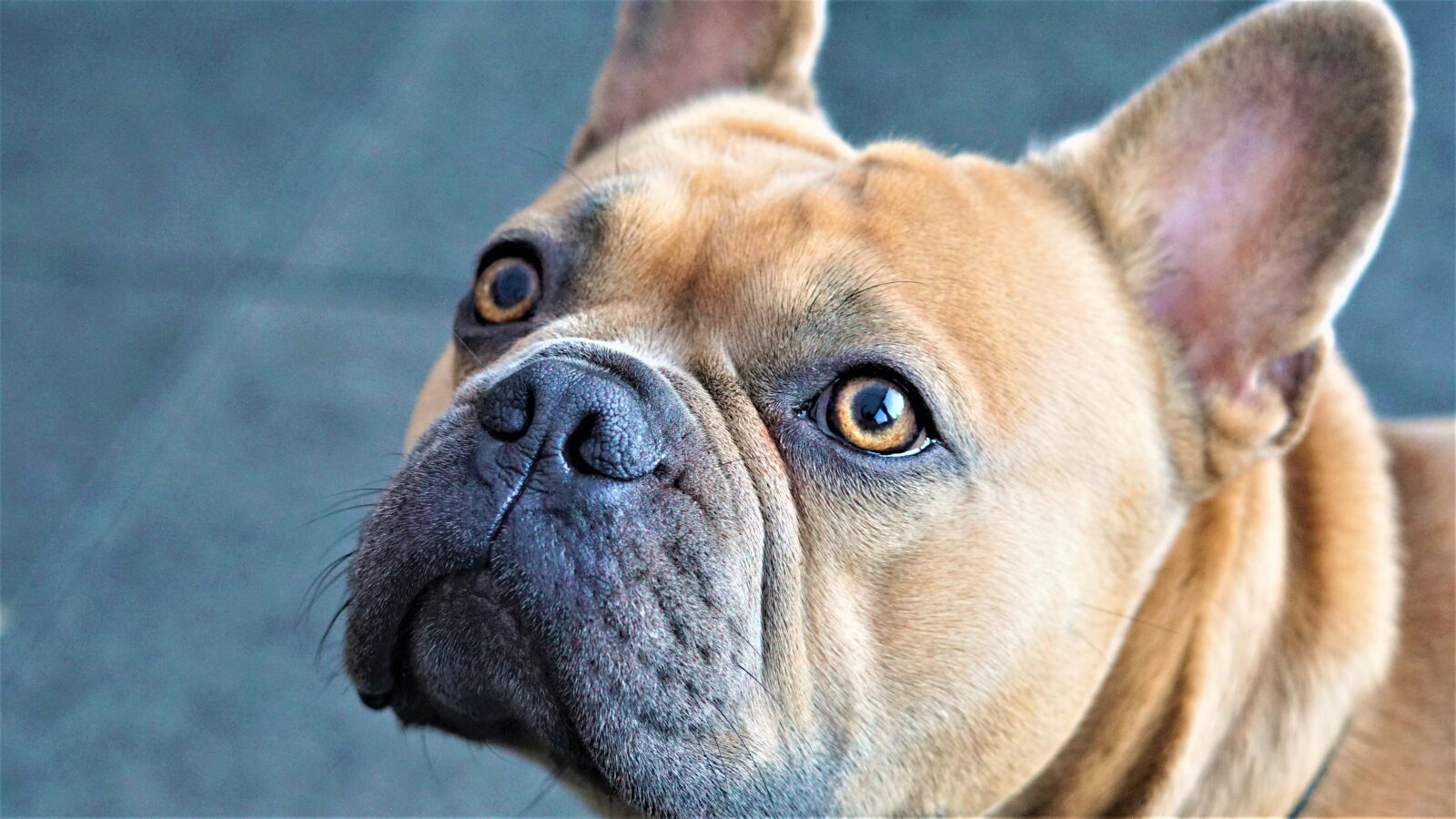 Sony FE 50mm F1.8 sample photo. Face, eyes, nose photography