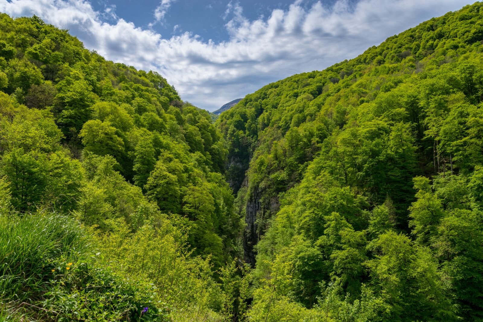Nikon D610 sample photo. Mountain, slope, grassland photography