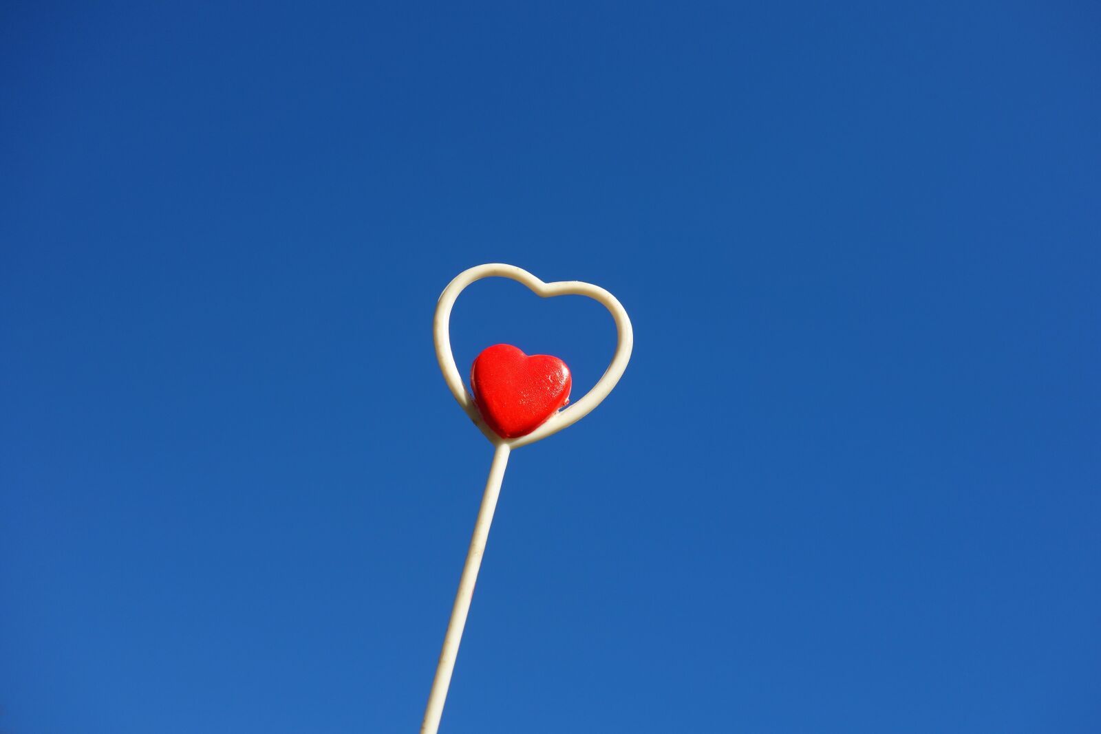 Sony Cyber-shot DSC-RX100 sample photo. Heart, red heart, love photography