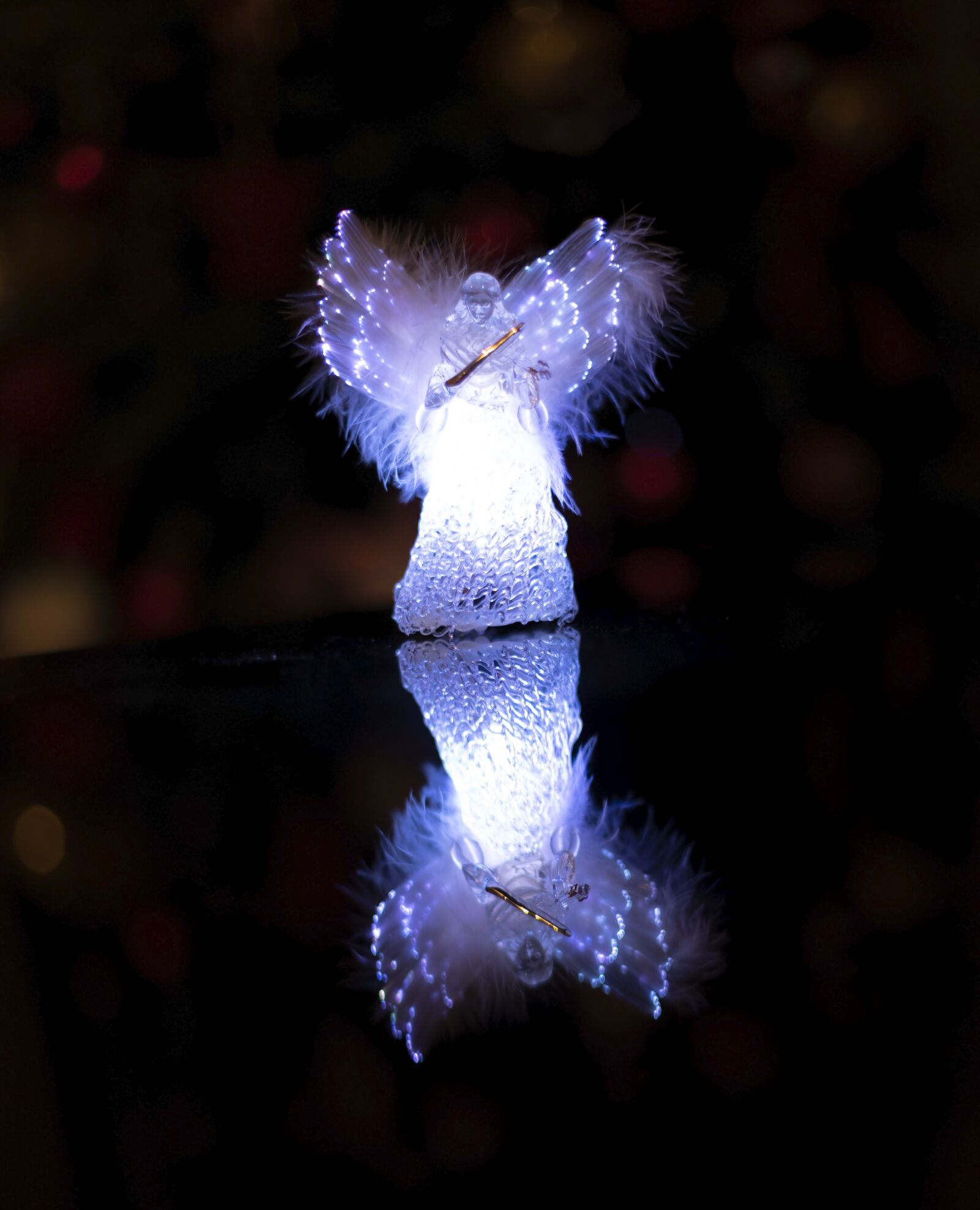 Nikon D750 sample photo. Christmas, lights, holiday photography