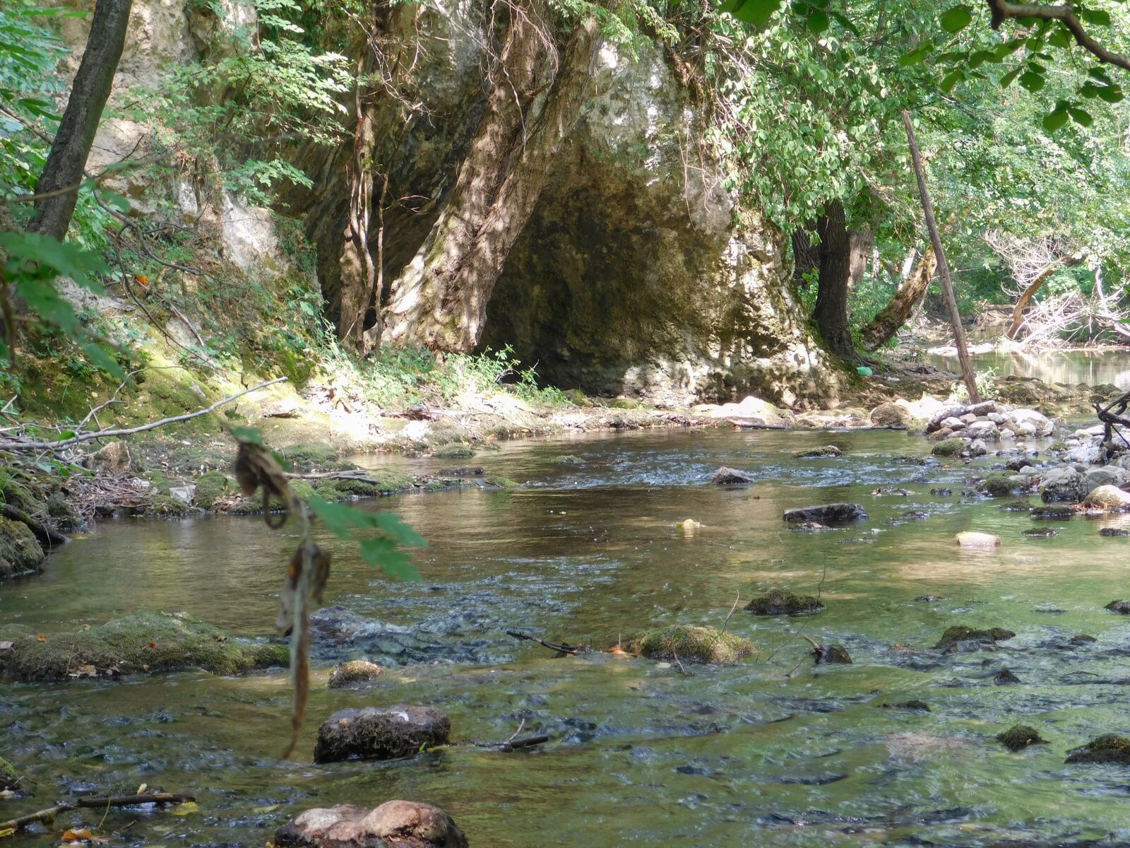 Nikon Coolpix L840 sample photo. Water, forest, nature photography