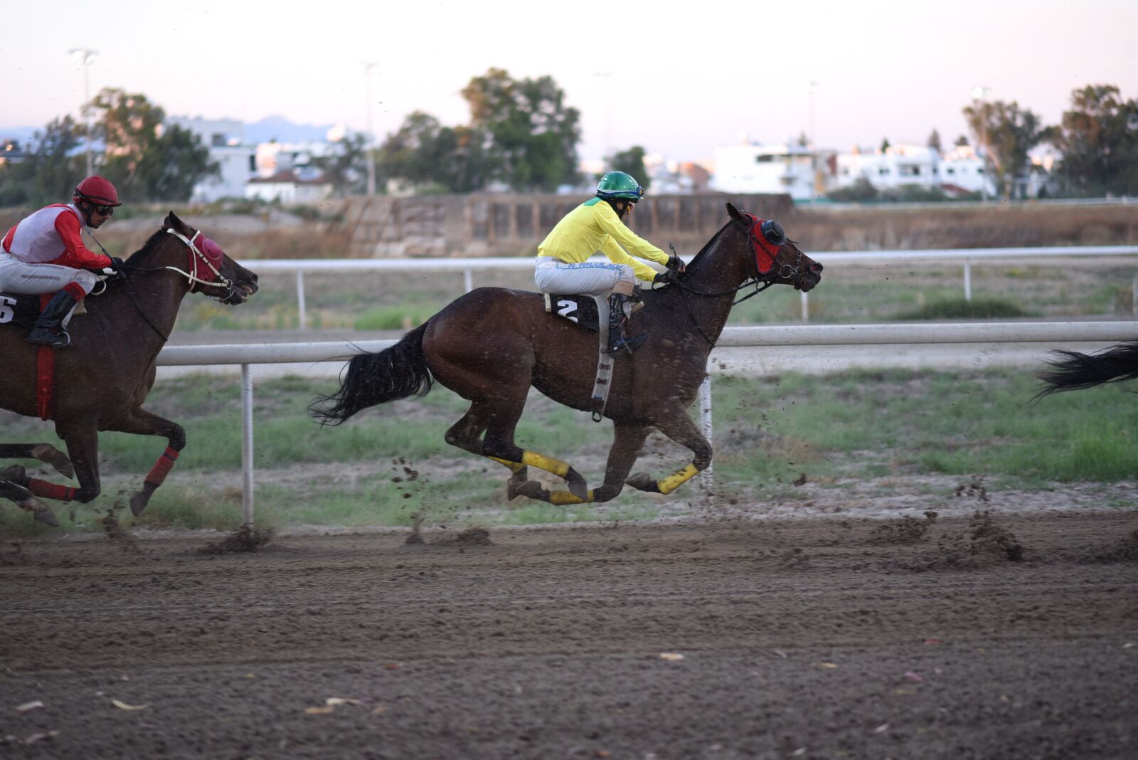 Nikon D750 sample photo