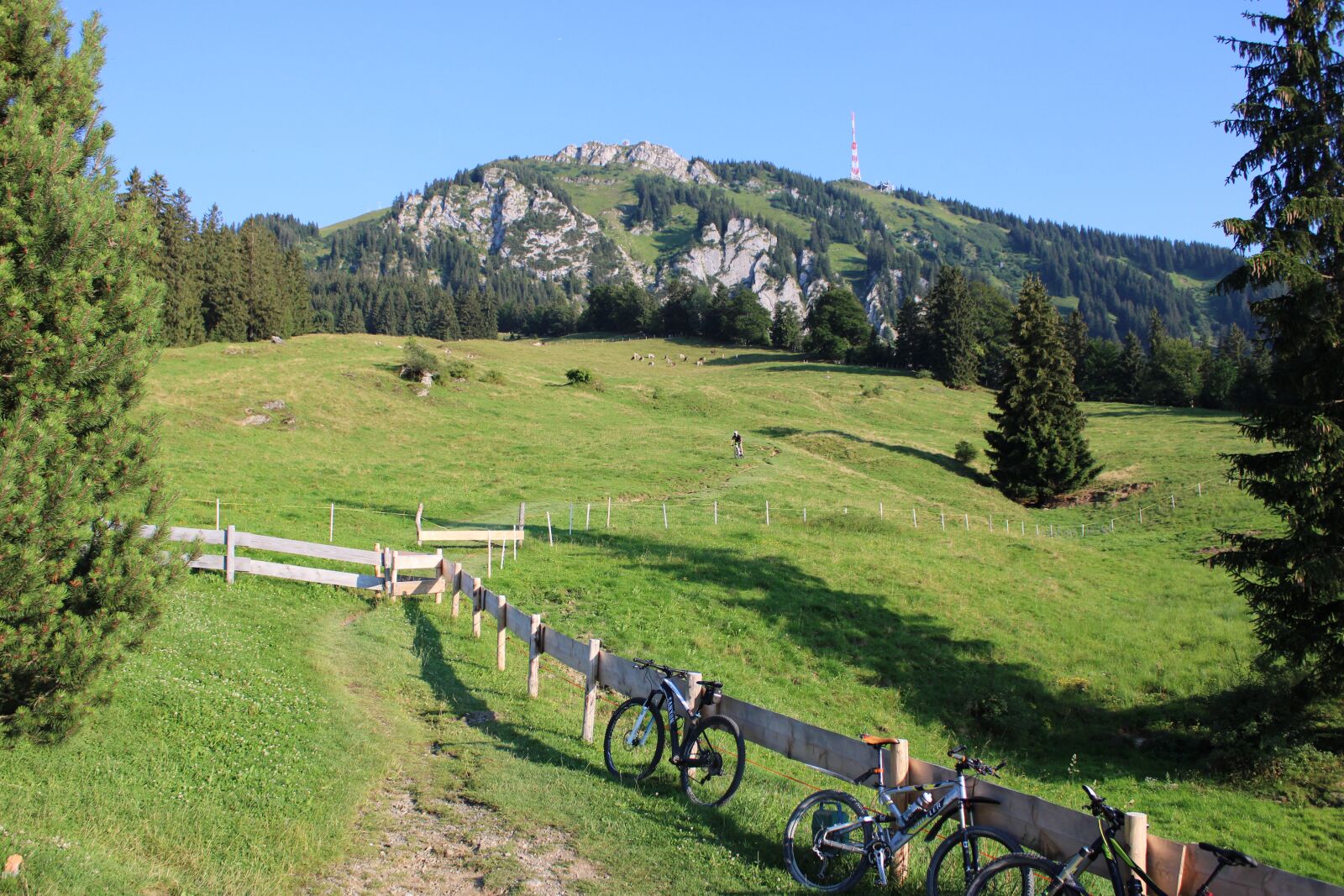 Canon EOS 2000D (EOS Rebel T7 / EOS Kiss X90 / EOS 1500D) sample photo. Landscape, bike, cycling photography