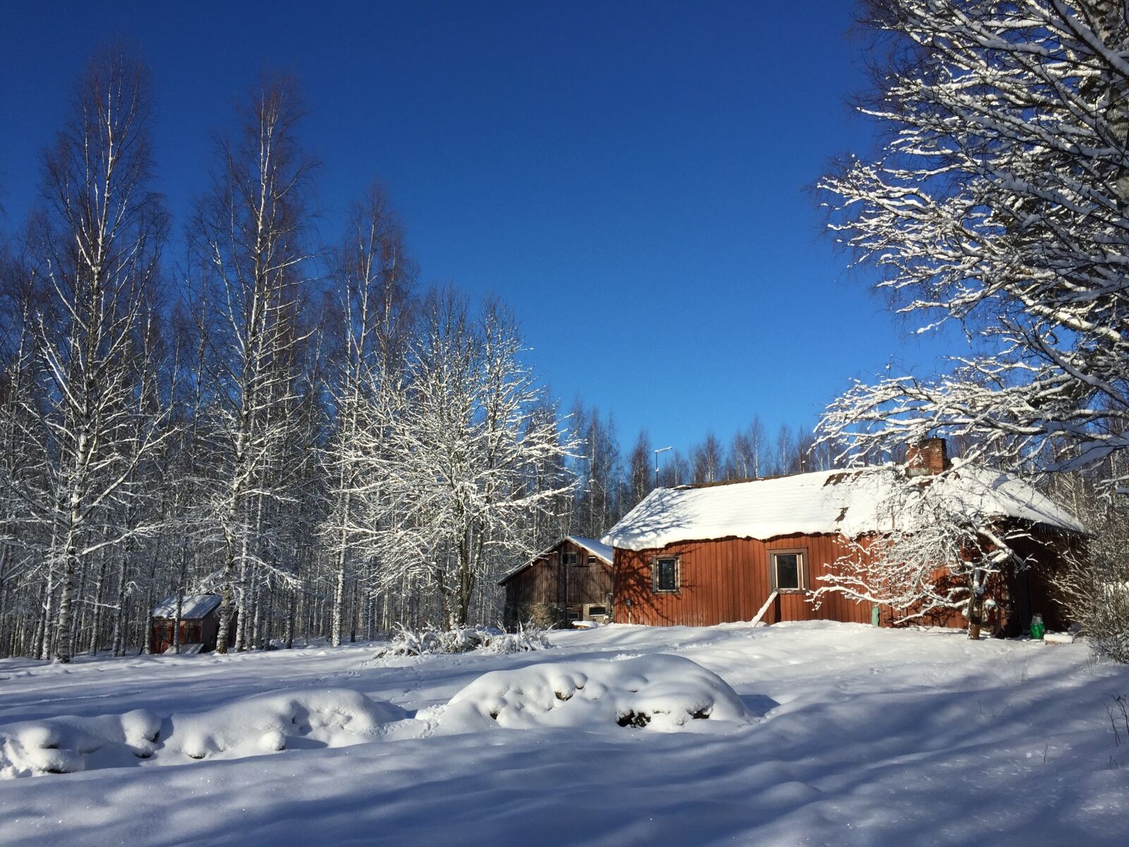 Apple iPhone 6 sample photo. Farm, snow, finland photography