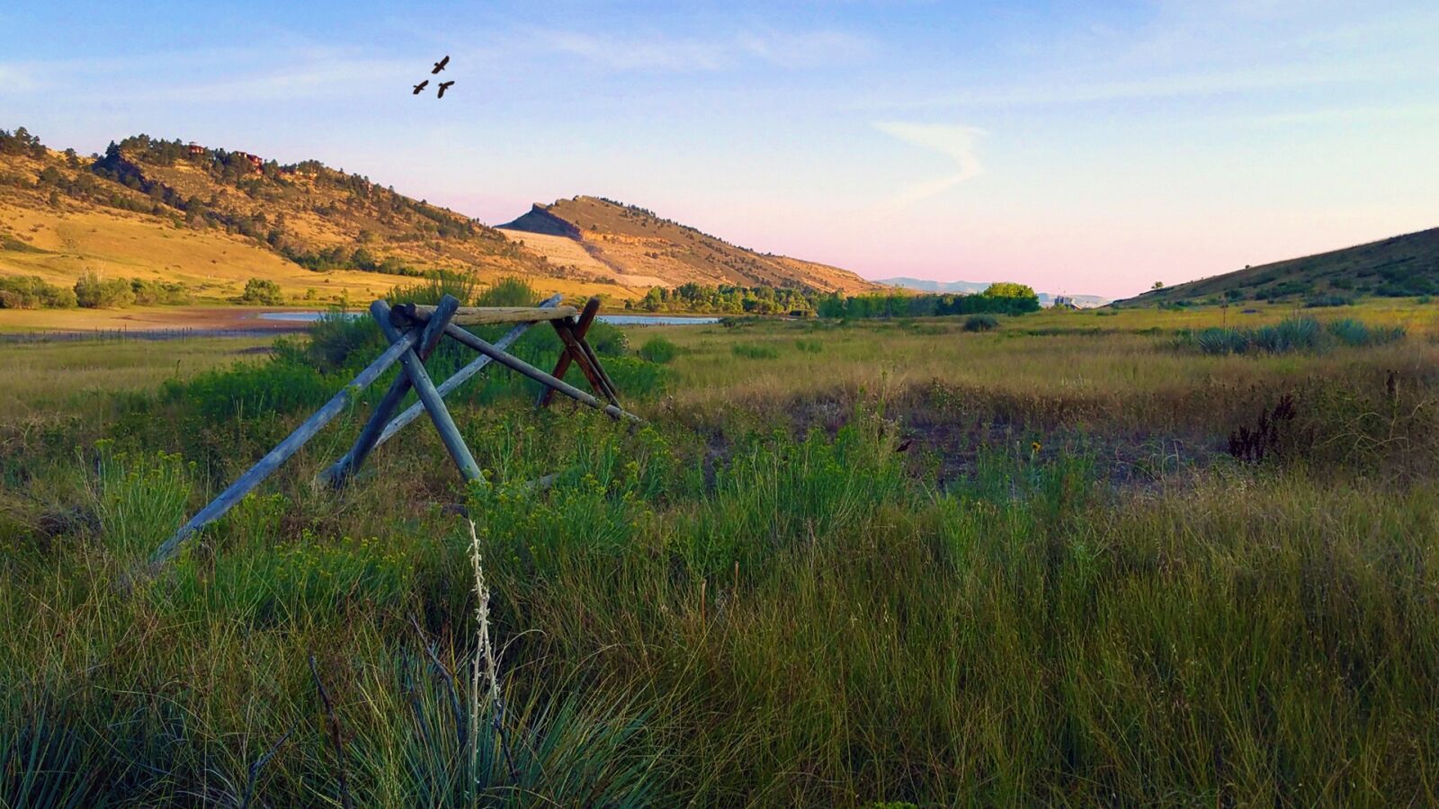 Samsung Galaxy Note4 sample photo. Pineridge natural area, hawk photography