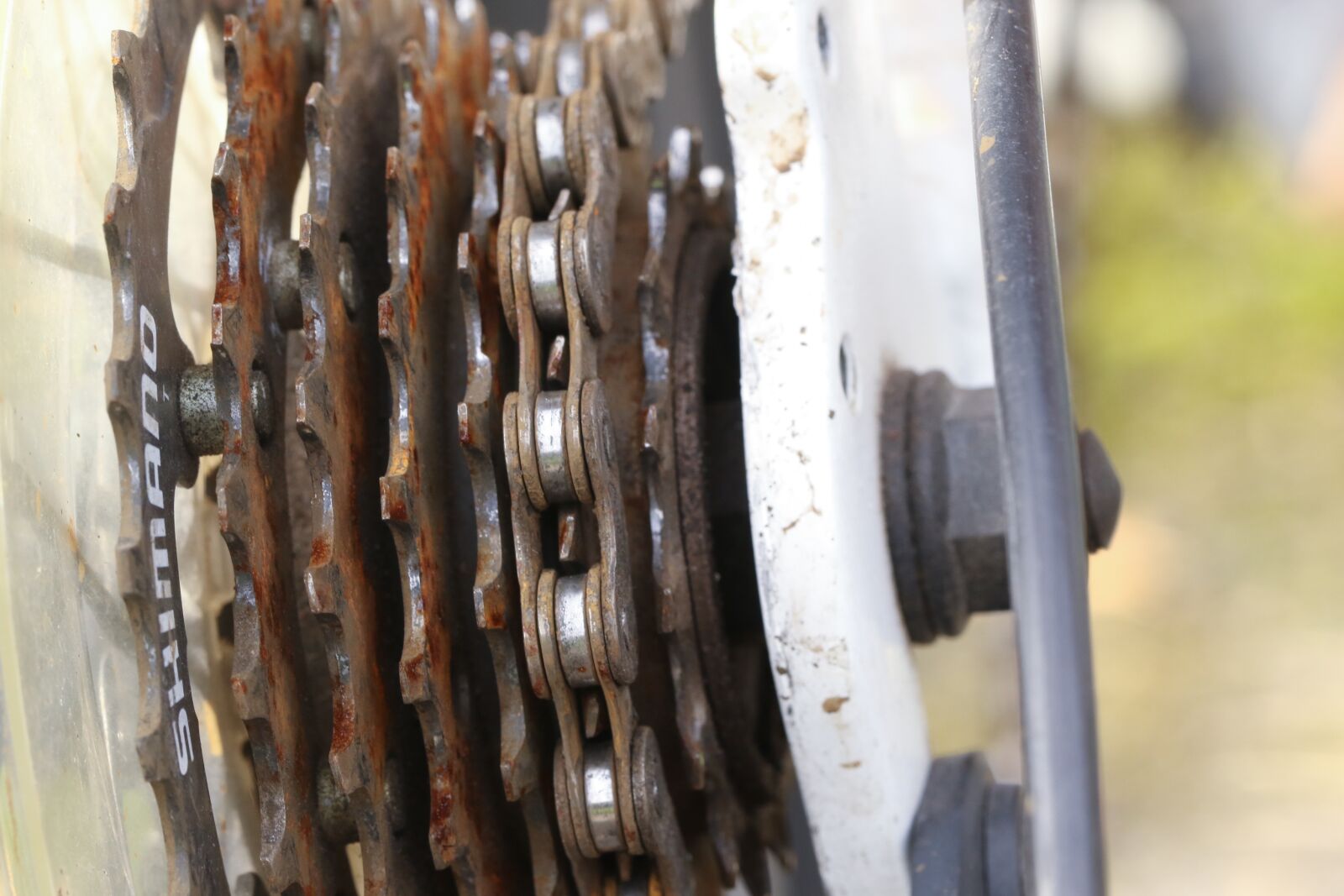 Canon EOS 7D Mark II sample photo. Cycle, wheel, part photography