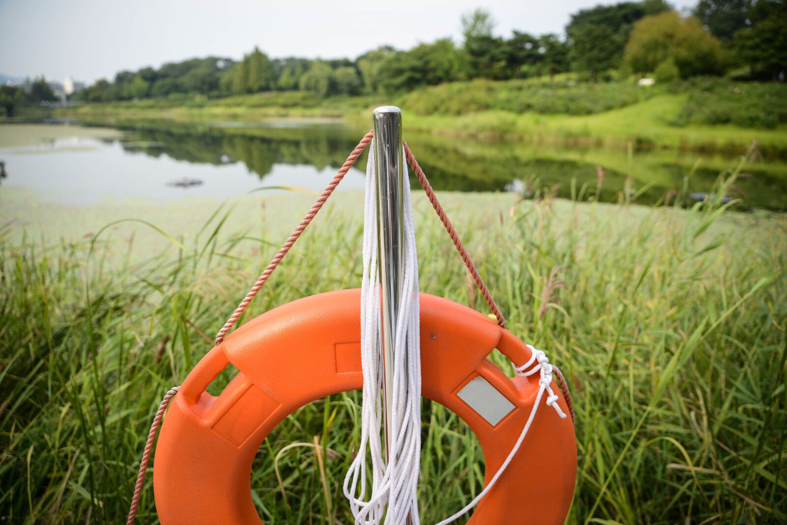Nikon D800 sample photo. Emergency, structure, lake photography