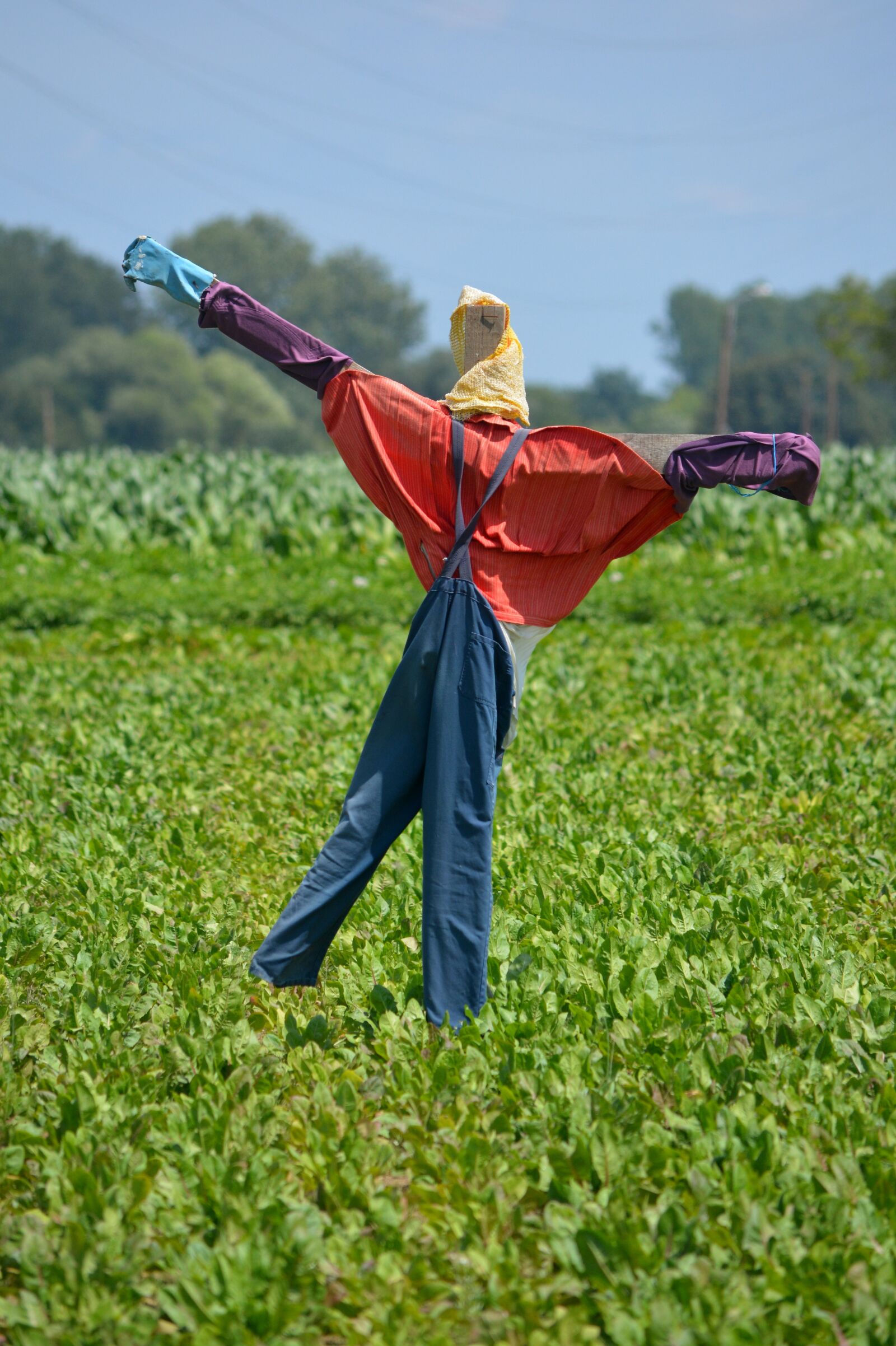 Nikon D5200 sample photo. Scarecrow, deterrent, field photography
