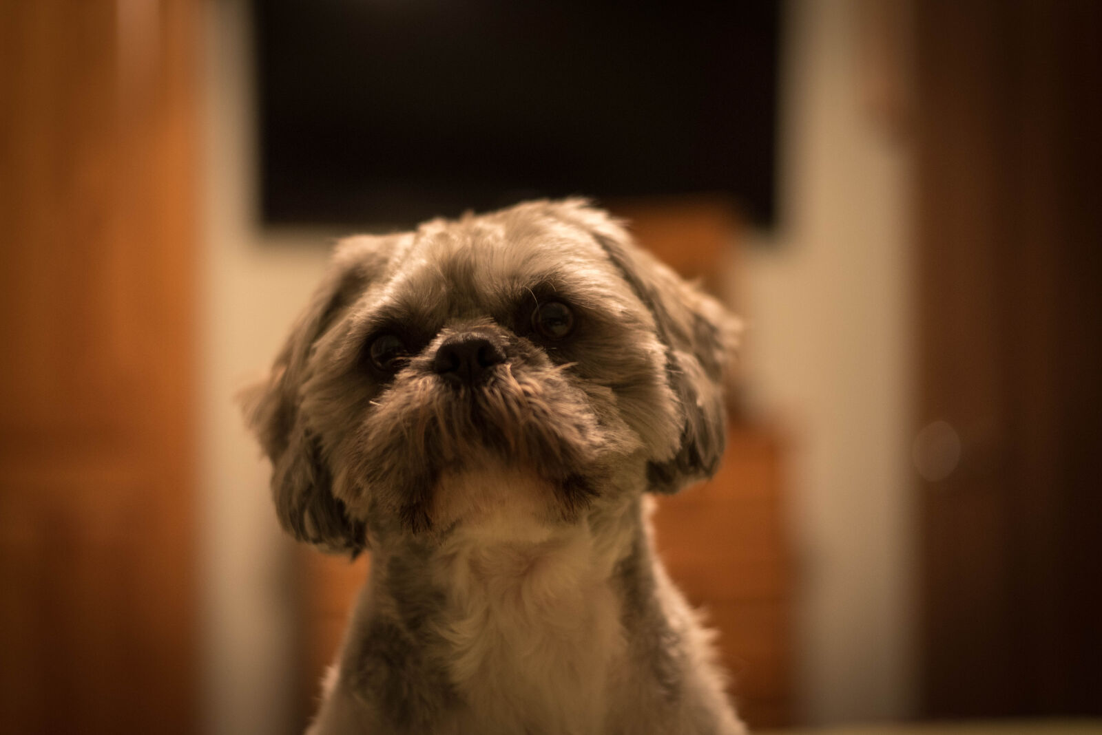 Nikon D750 + Nikon AF-S Nikkor 50mm F1.8G sample photo. Night photography