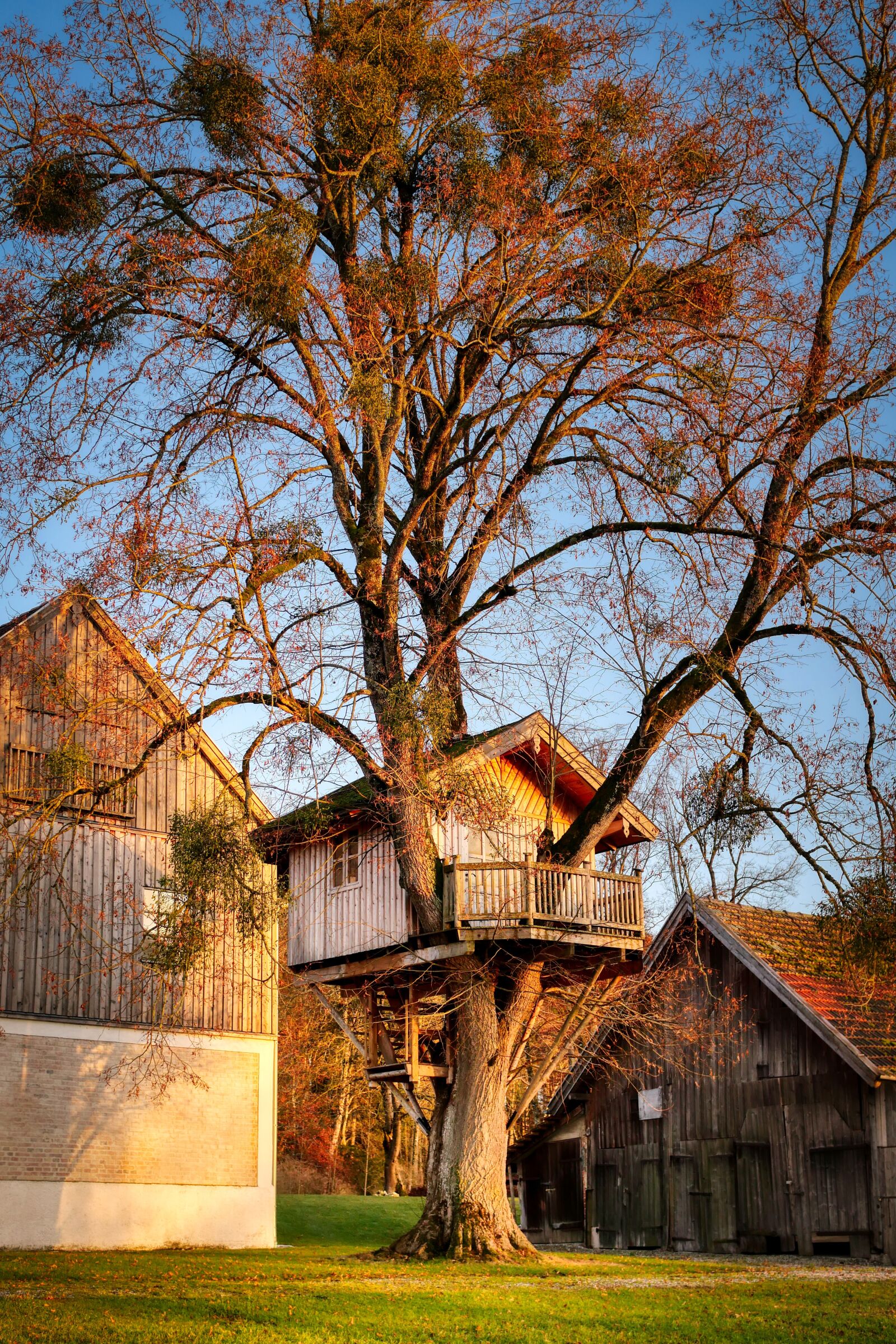 Panasonic Lumix DC-G90 (Lumix DC-G91) sample photo. Treehouse, tree, farm photography