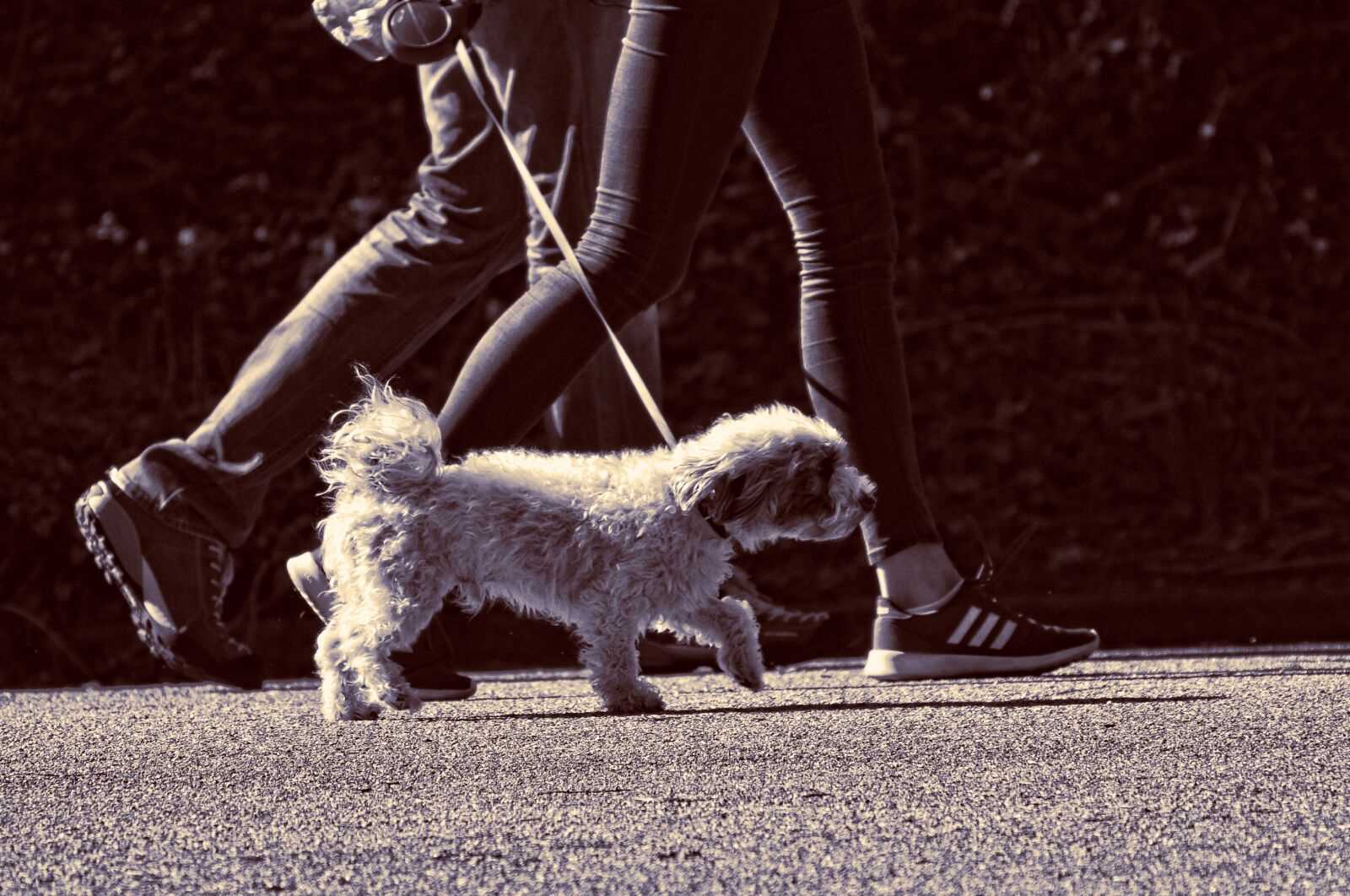 Nikon D90 sample photo. Man, woman, persons photography