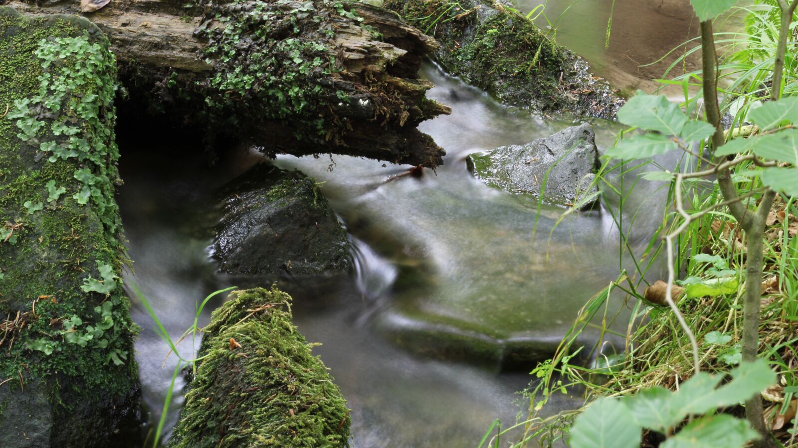 Canon EOS 1300D (EOS Rebel T6 / EOS Kiss X80) sample photo. Bach, water, landscape photography