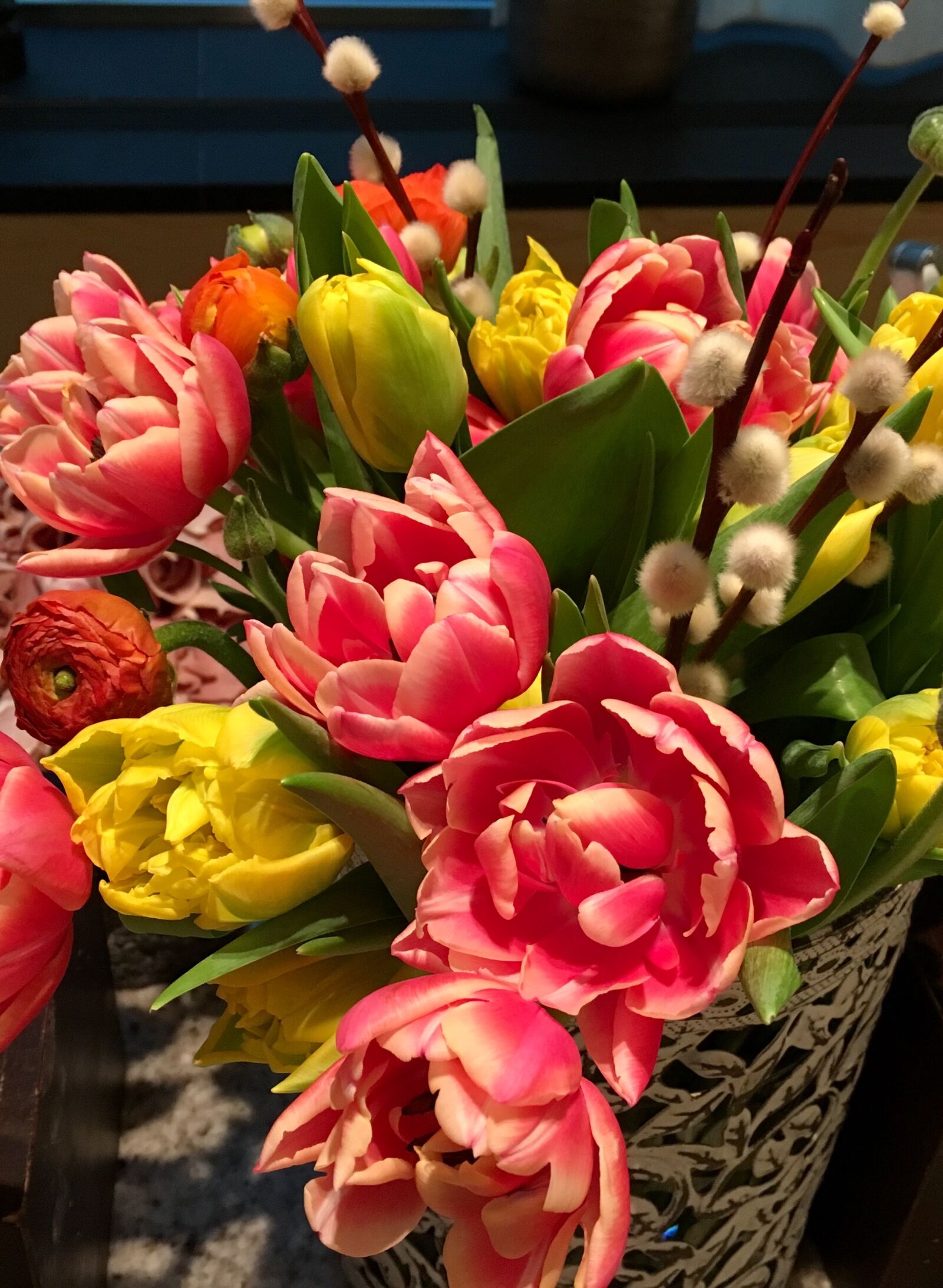 Apple iPhone 6s sample photo. Flowers, tulips, tulip photography