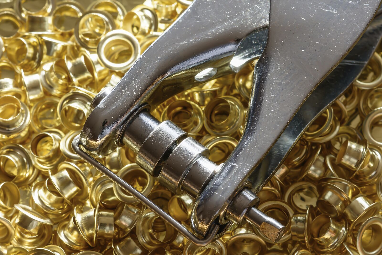 Nikon D7200 sample photo. Connect competition gold, eyelets photography