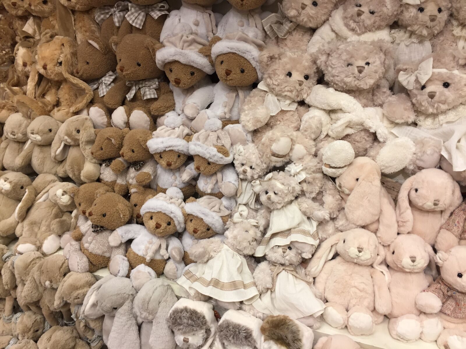 Apple iPhone 6 sample photo. Toy, bear, teddy photography