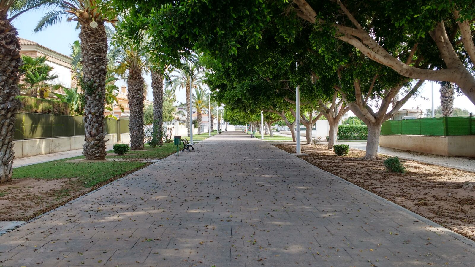 Motorola MotoG3 sample photo. Walk, trees, park photography