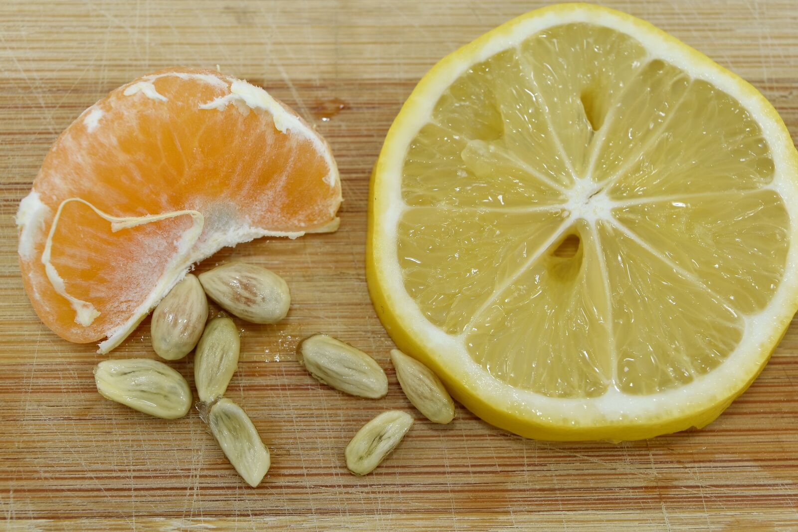Nikon D5500 sample photo. Lemon, seed, slices, wet photography