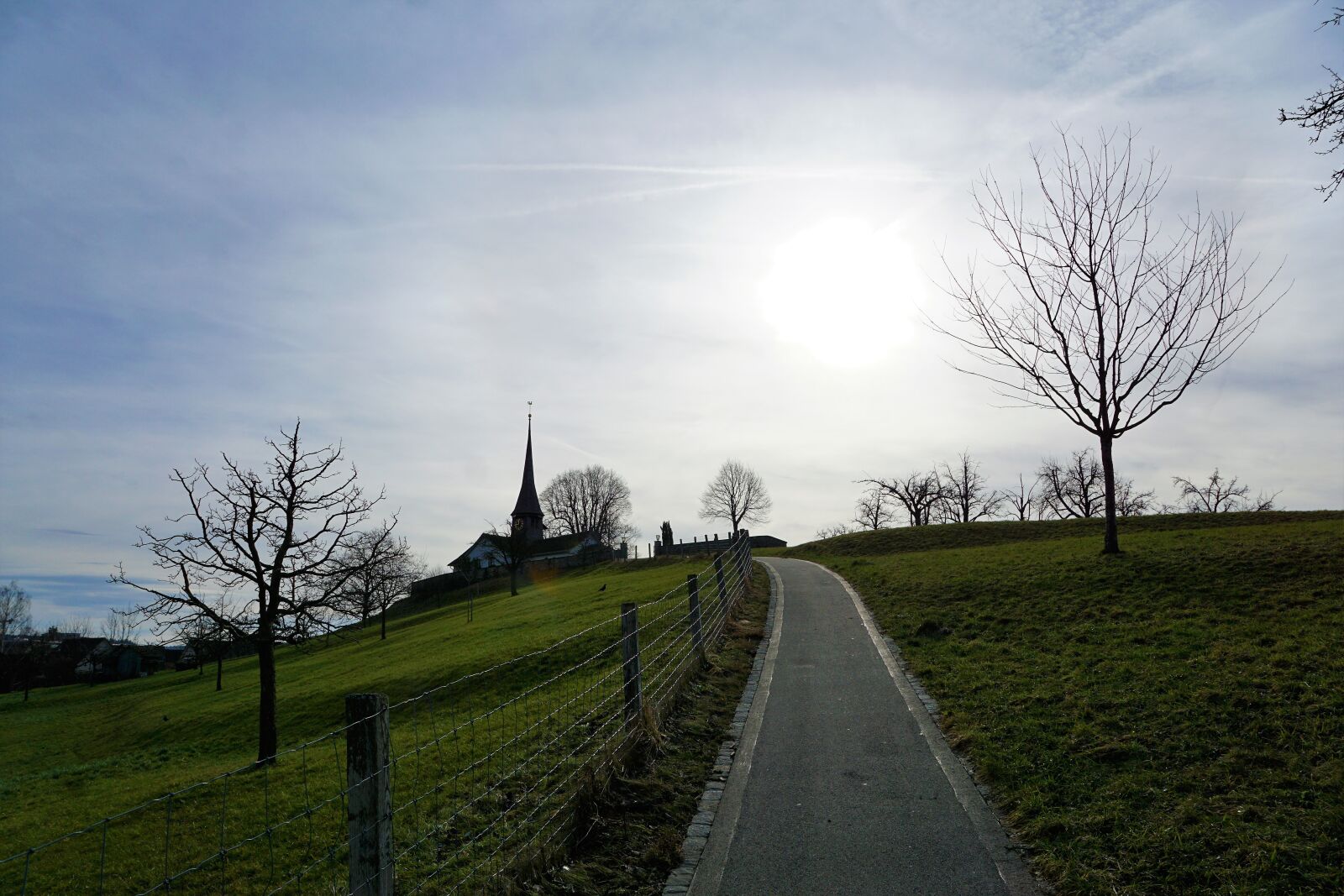 Sony ILCA-77M2 + Sony DT 16-50mm F2.8 SSM sample photo. Grass, landscape, tree photography