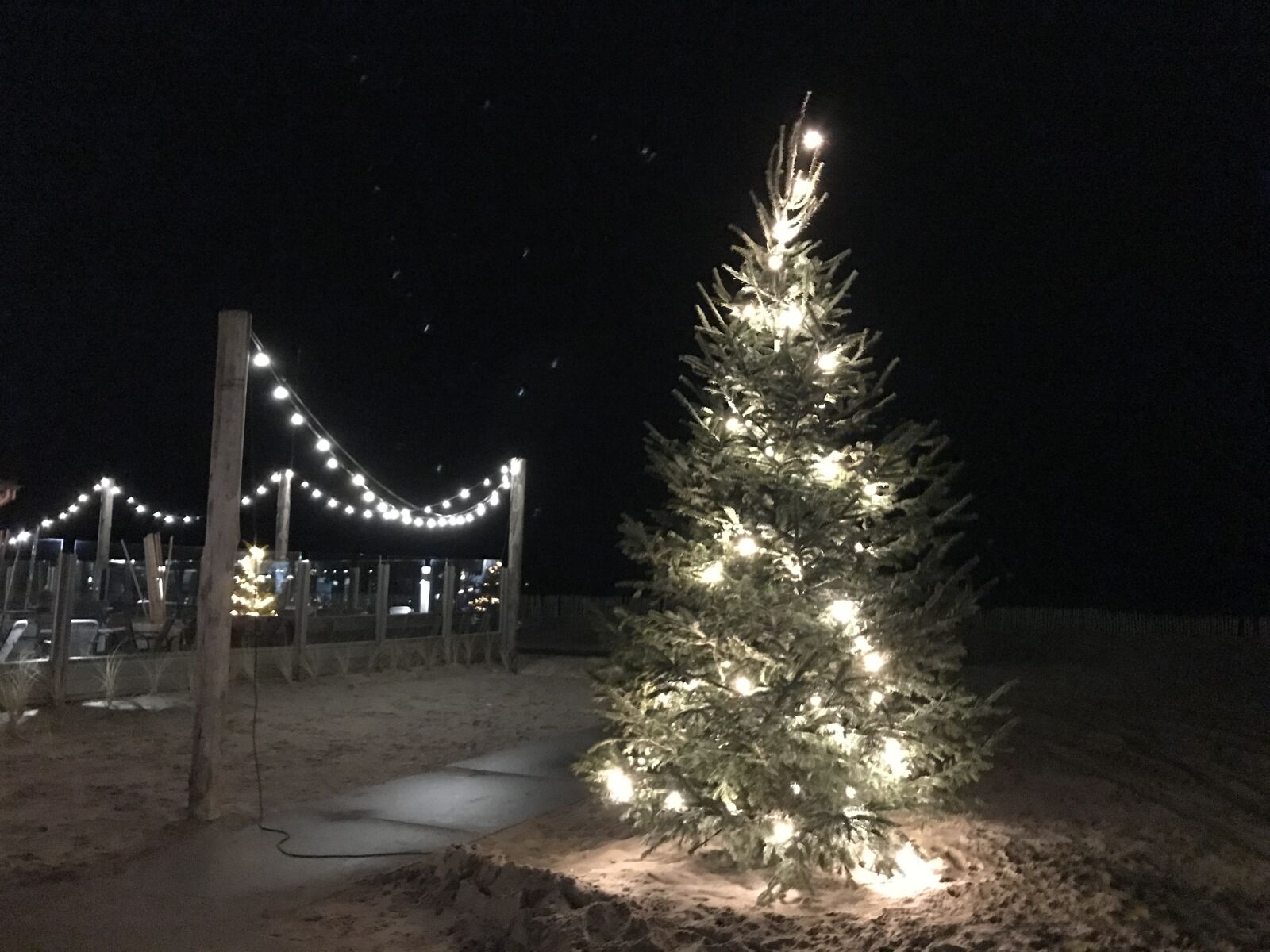 iPhone 7 back camera 3.99mm f/1.8 sample photo. Christmas, vacations, christmas background photography