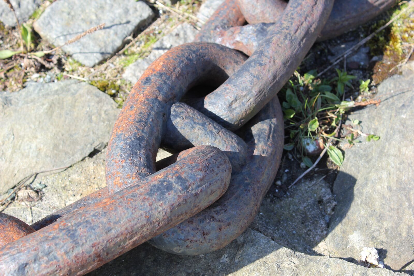 Canon EOS 550D (EOS Rebel T2i / EOS Kiss X4) sample photo. Chain, anchor chain, san photography