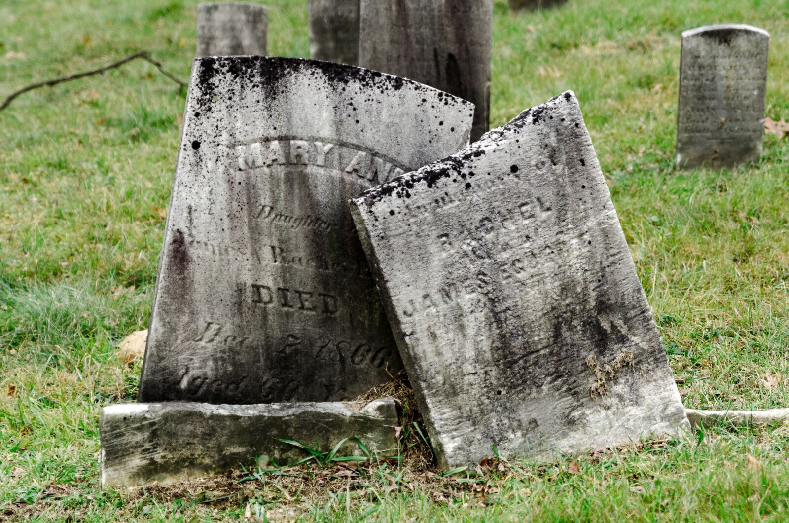 Tamron SP 24-70mm F2.8 Di VC USD sample photo. Death, cemetary, graveyard photography