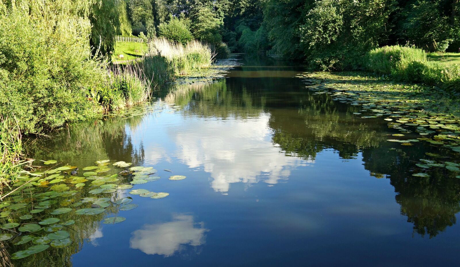 Sony Cyber-shot DSC-RX100 sample photo. Water, pond, reflection photography