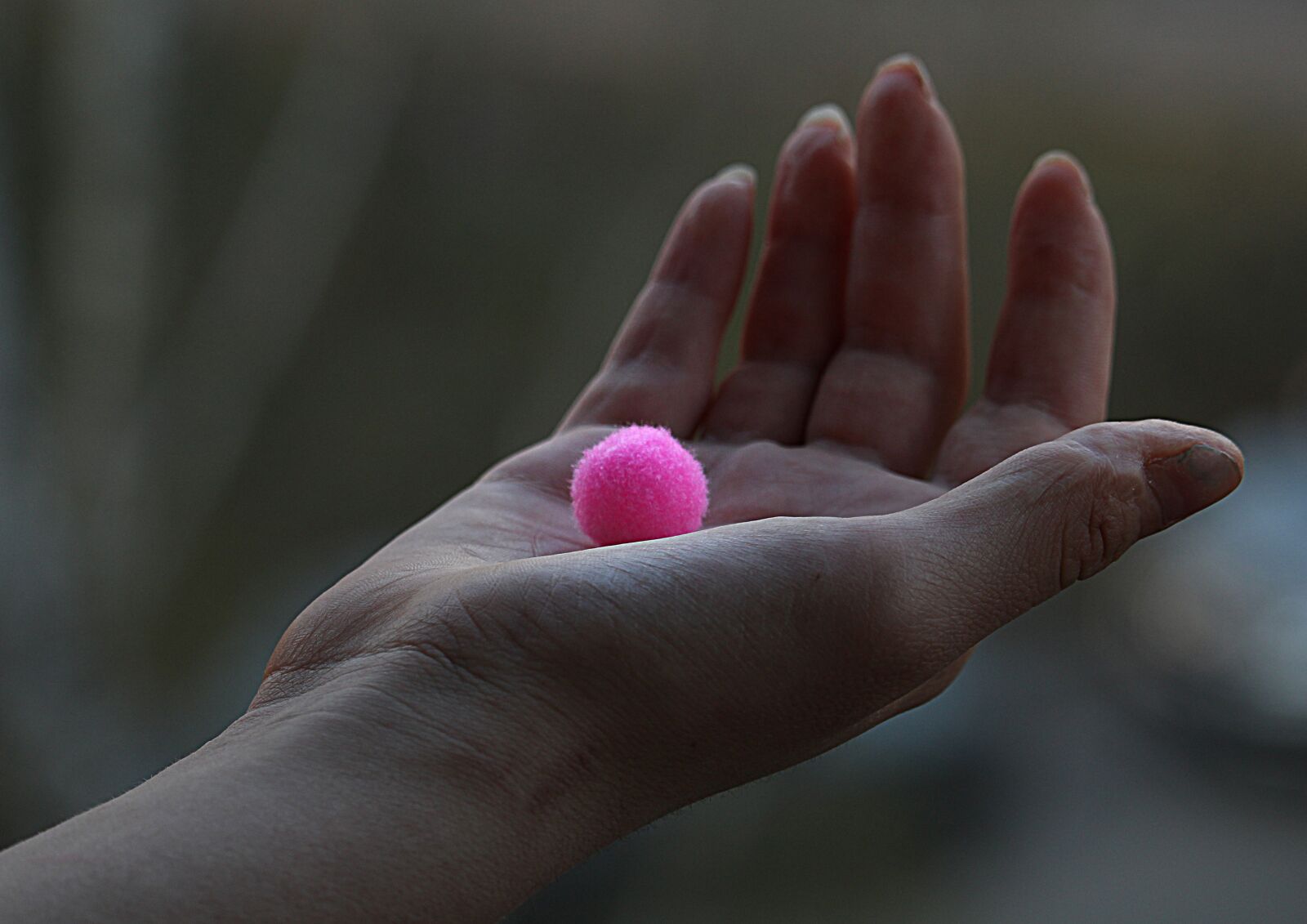 Canon EOS 1200D (EOS Rebel T5 / EOS Kiss X70 / EOS Hi) sample photo. Hand, brush, art photography