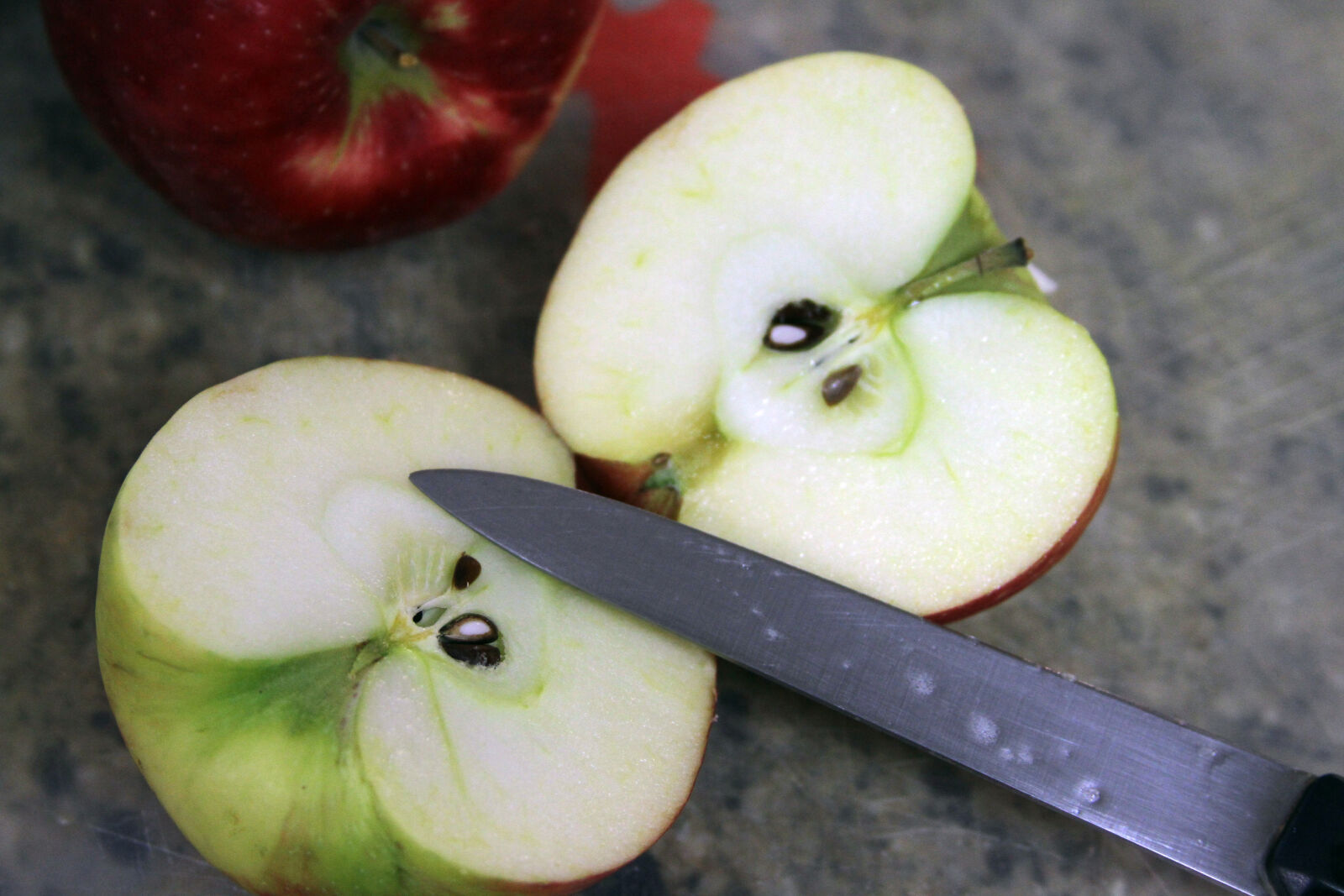 Canon EF 28-135mm F3.5-5.6 IS USM sample photo. Apple photography