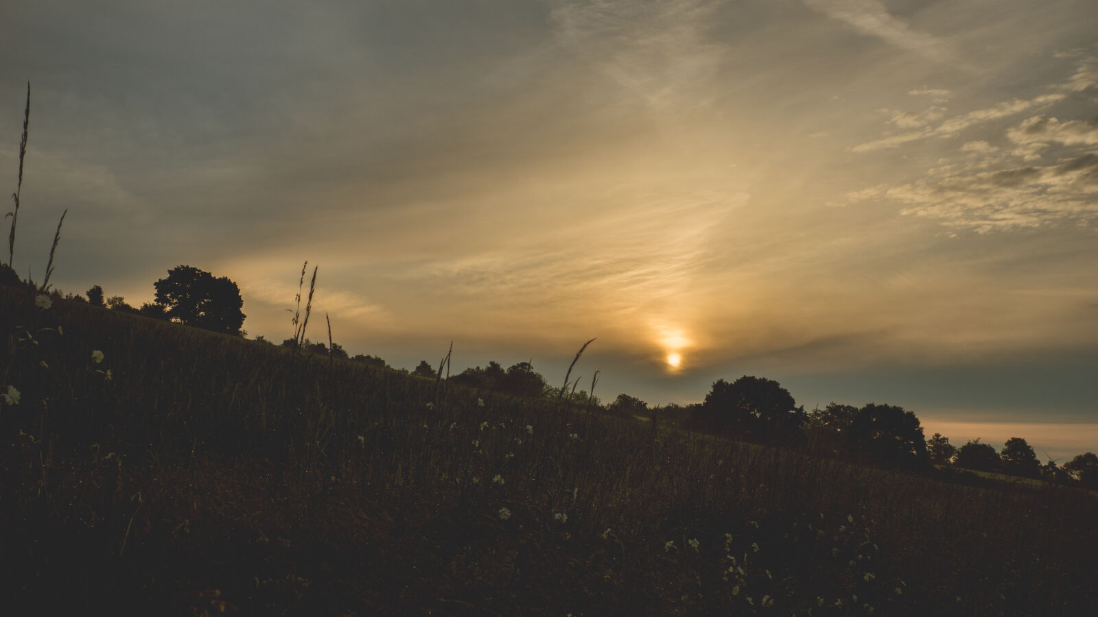 24-70mm F2.8-2.8 SSM sample photo. Agriculture, backlit, dark, dawn photography