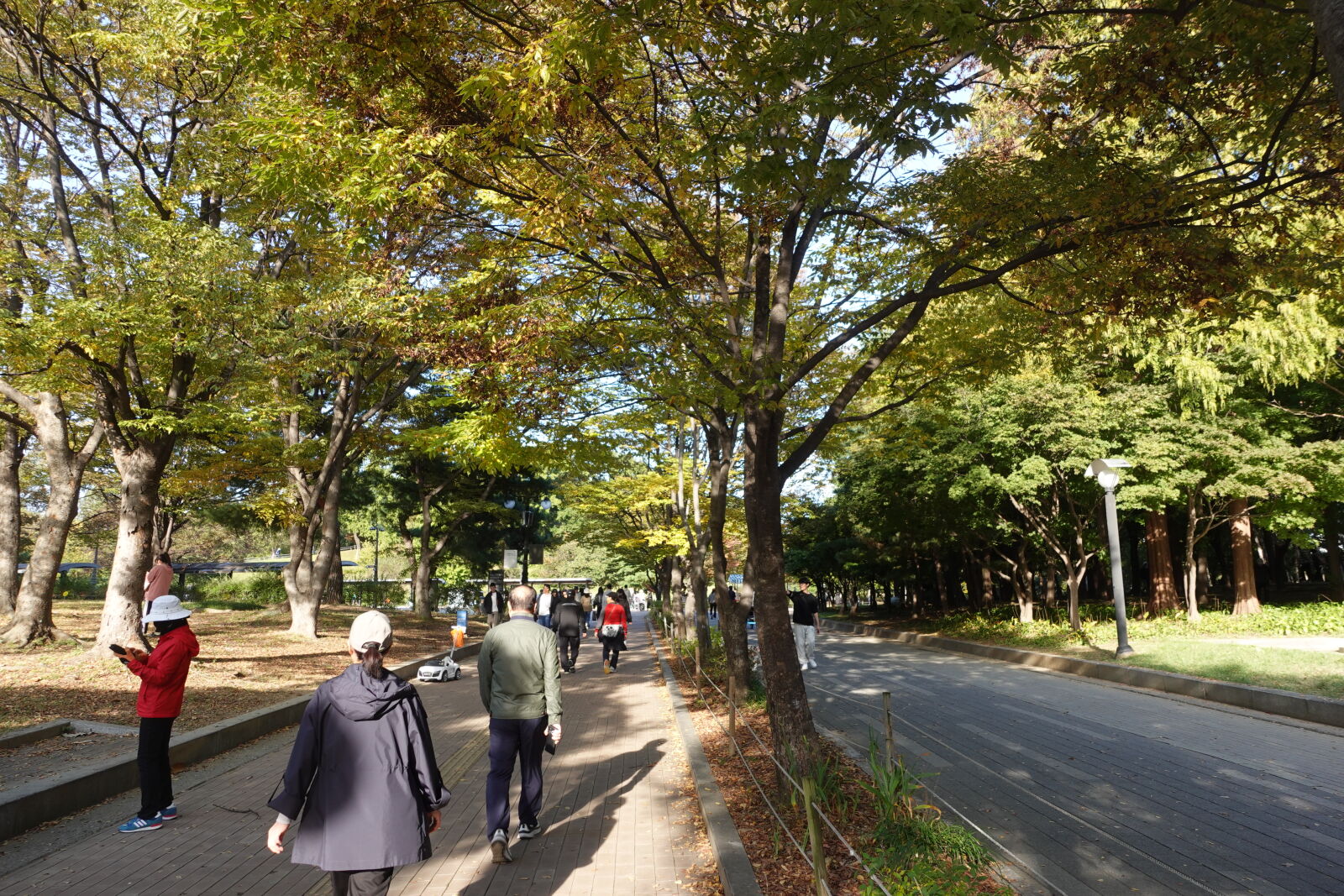 Sony ZV-1 sample photo