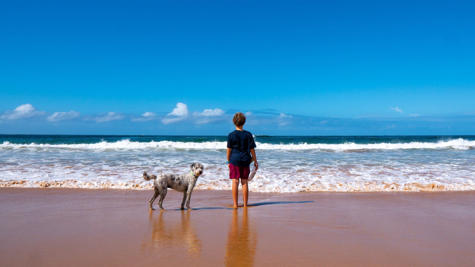Sony a6300 sample photo. Boy, beach, dog photography