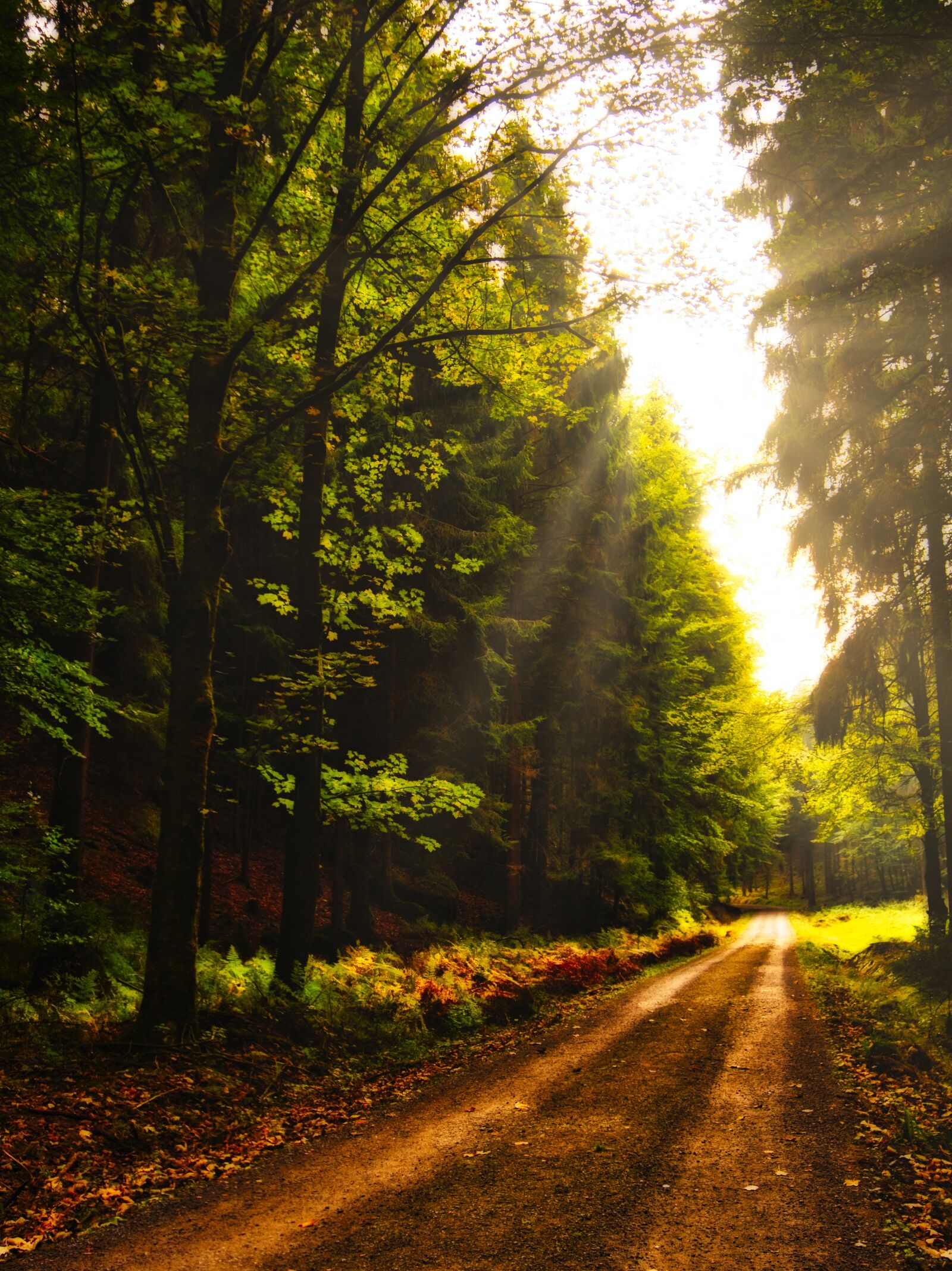 Panasonic Lumix DMC-GX8 sample photo. Landscape way, hiking, nature photography