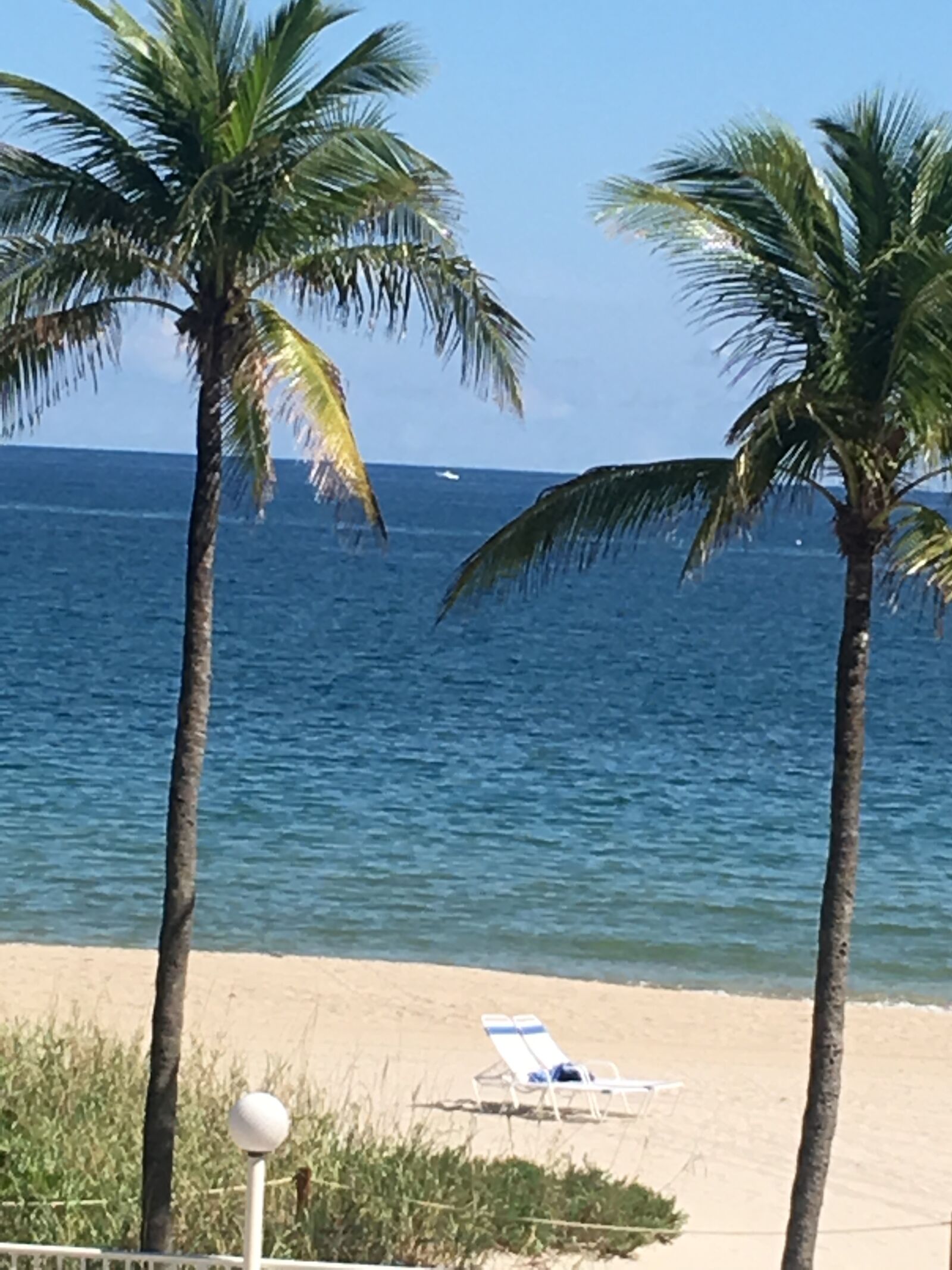 iPhone 6s Plus back camera 4.15mm f/2.2 sample photo. Beach, palm, trees photography
