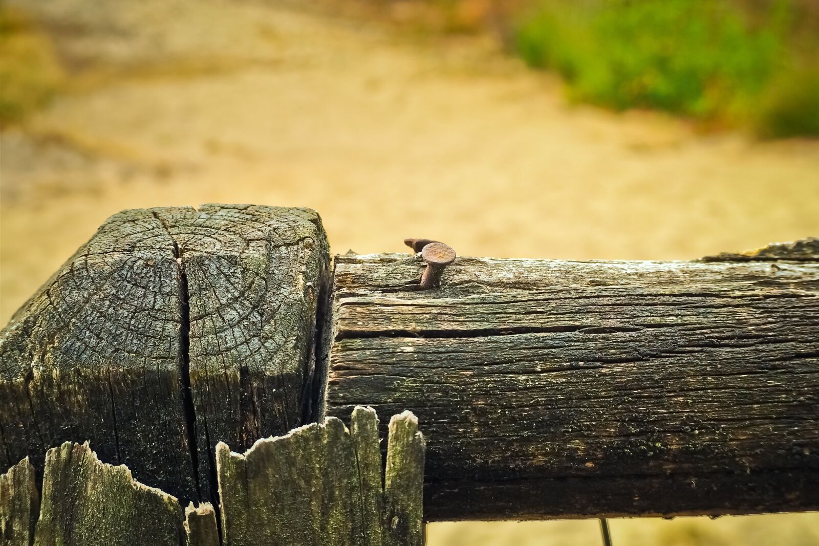 Olympus OM-D E-M10 sample photo. Fence, wood fence, wood photography
