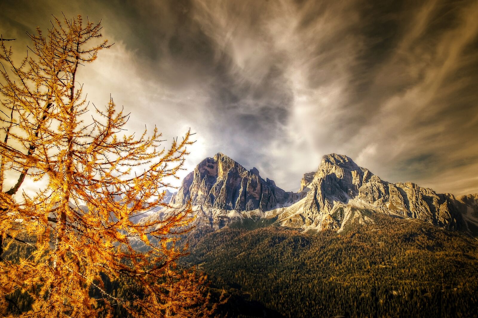 Nikon D40 sample photo. Autumn, tofane, nature photography